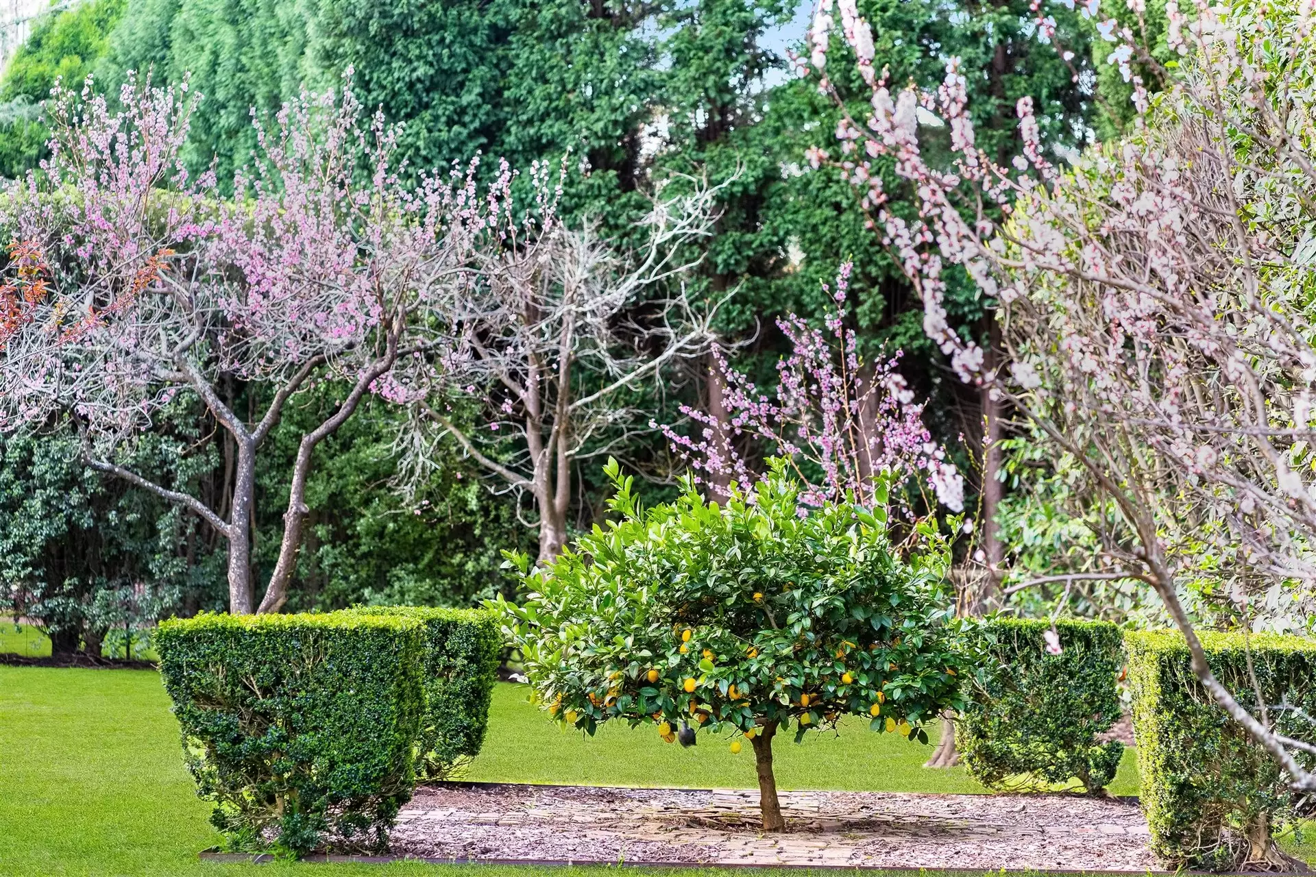 71A Burradoo Road, Burradoo Sold by Drew Lindsay Sotheby's International Realty - image 20