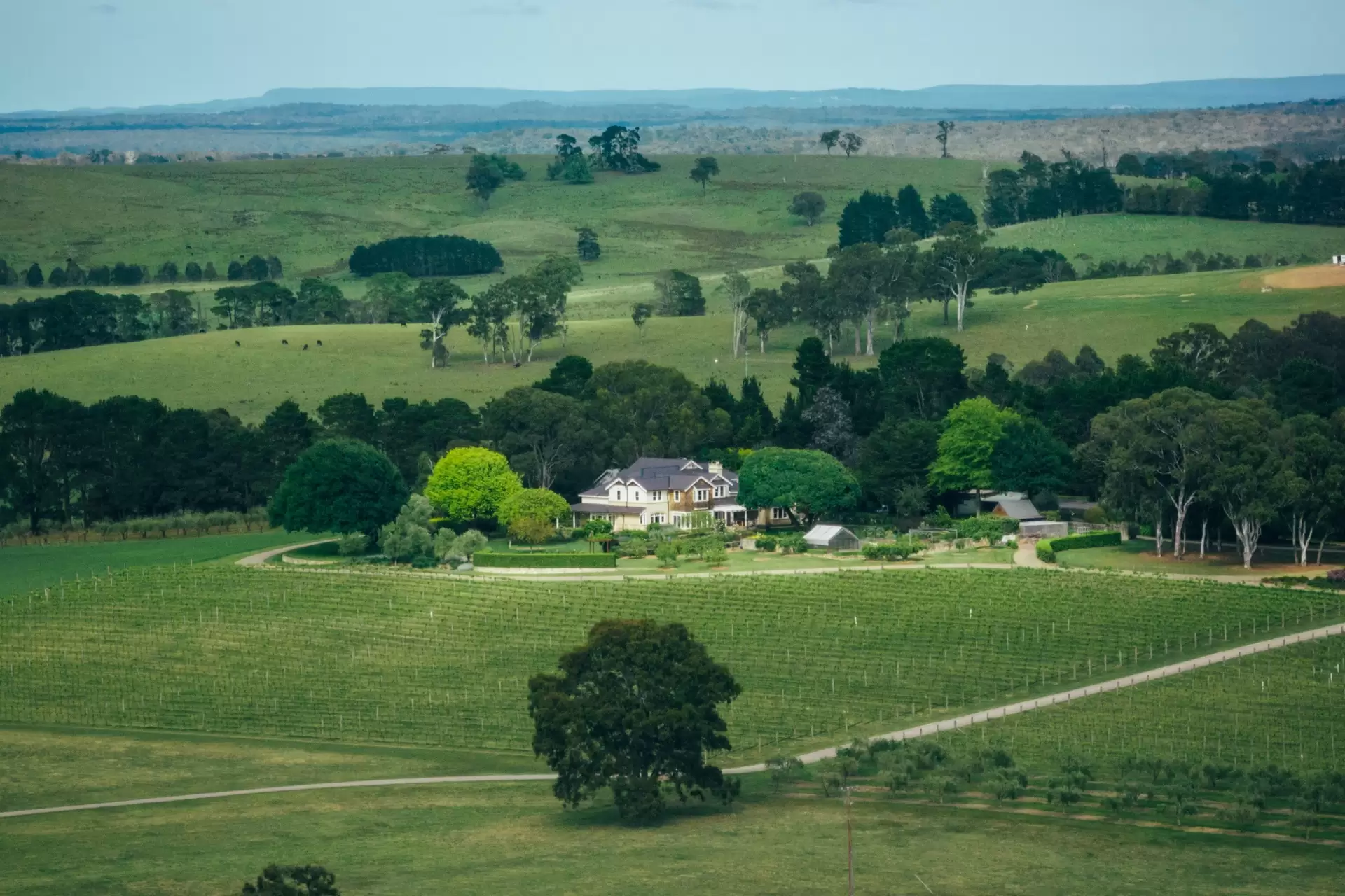 35 Mandemar Lane, Mandemar Sold by Drew Lindsay Sotheby's International Realty - image 6