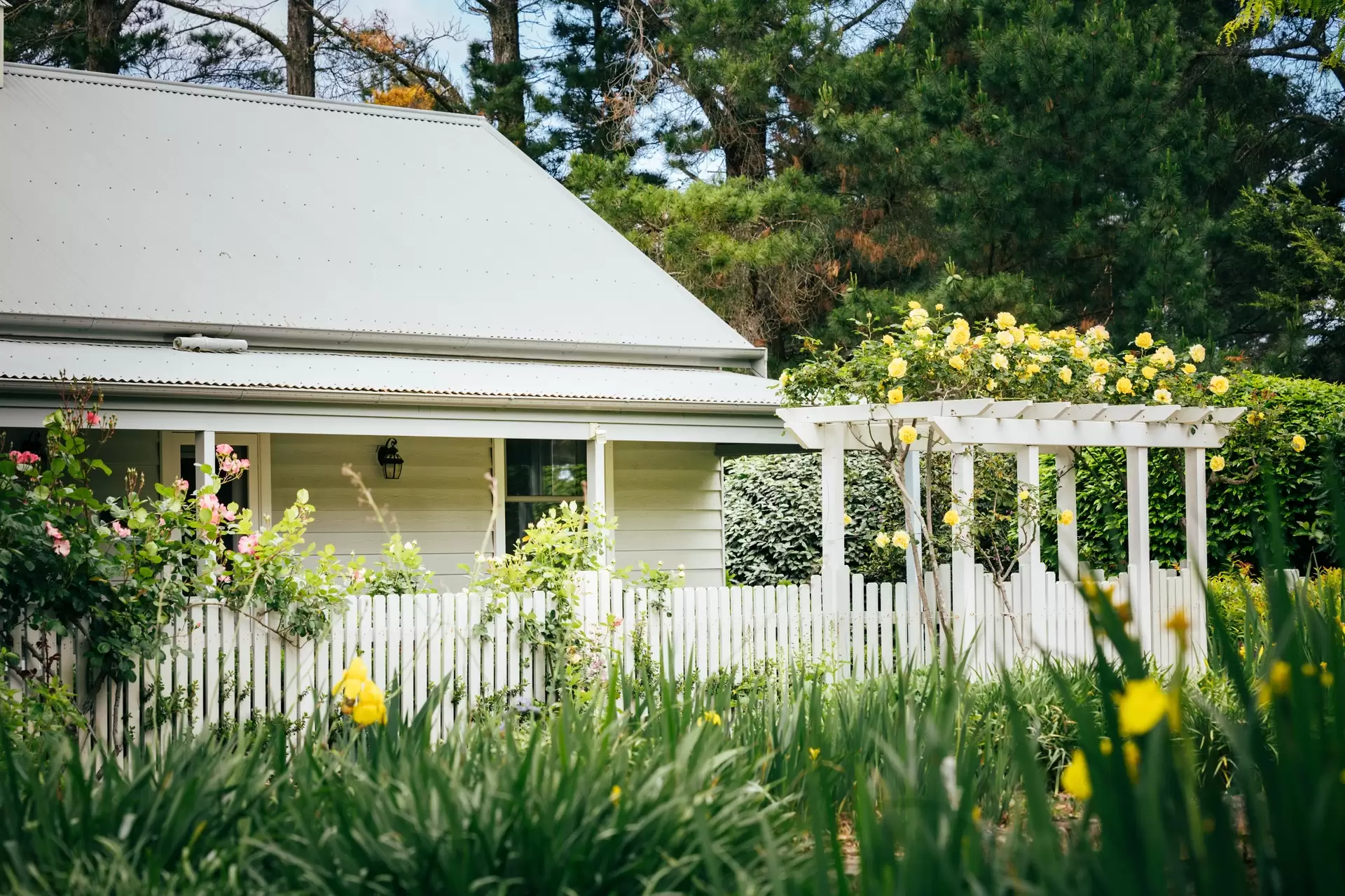 35 Mandemar Lane, Mandemar Sold by Drew Lindsay Sotheby's International Realty - image 28