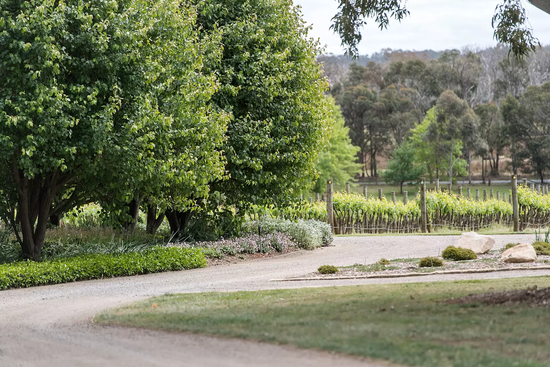 35 Mandemar Lane, Mandemar Sold by Drew Lindsay Sotheby's International Realty - image 31