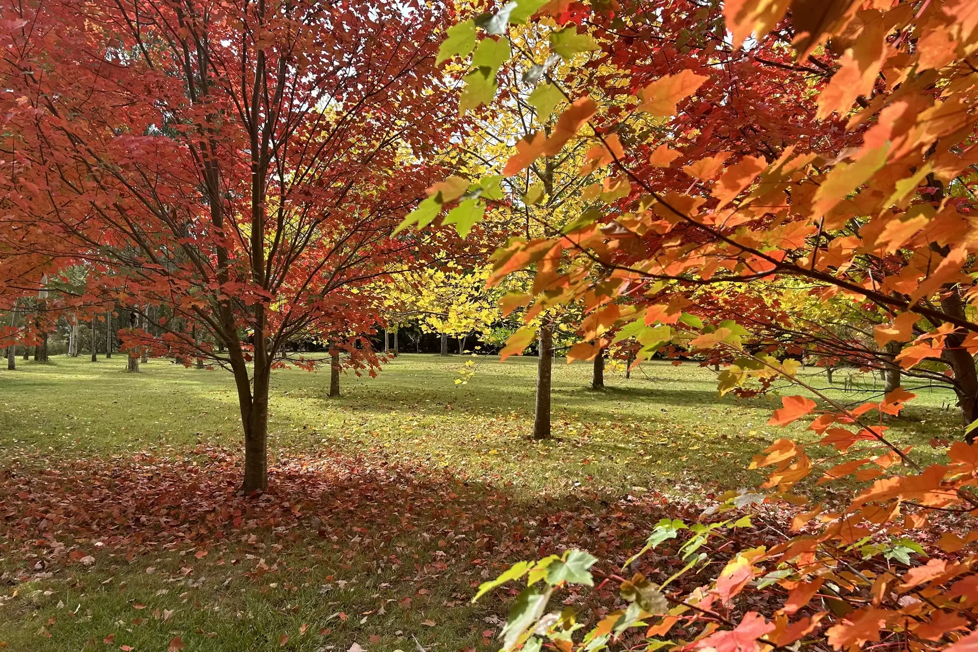 14-16 Hambridge Road, Yerrinbool Sold by Drew Lindsay Sotheby's International Realty - image 27