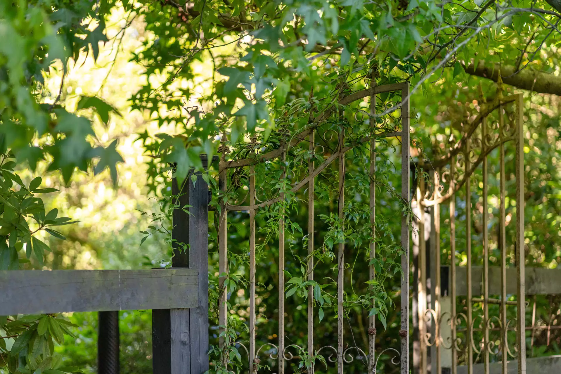 14-16 Hambridge Road, Yerrinbool Sold by Drew Lindsay Sotheby's International Realty - image 29