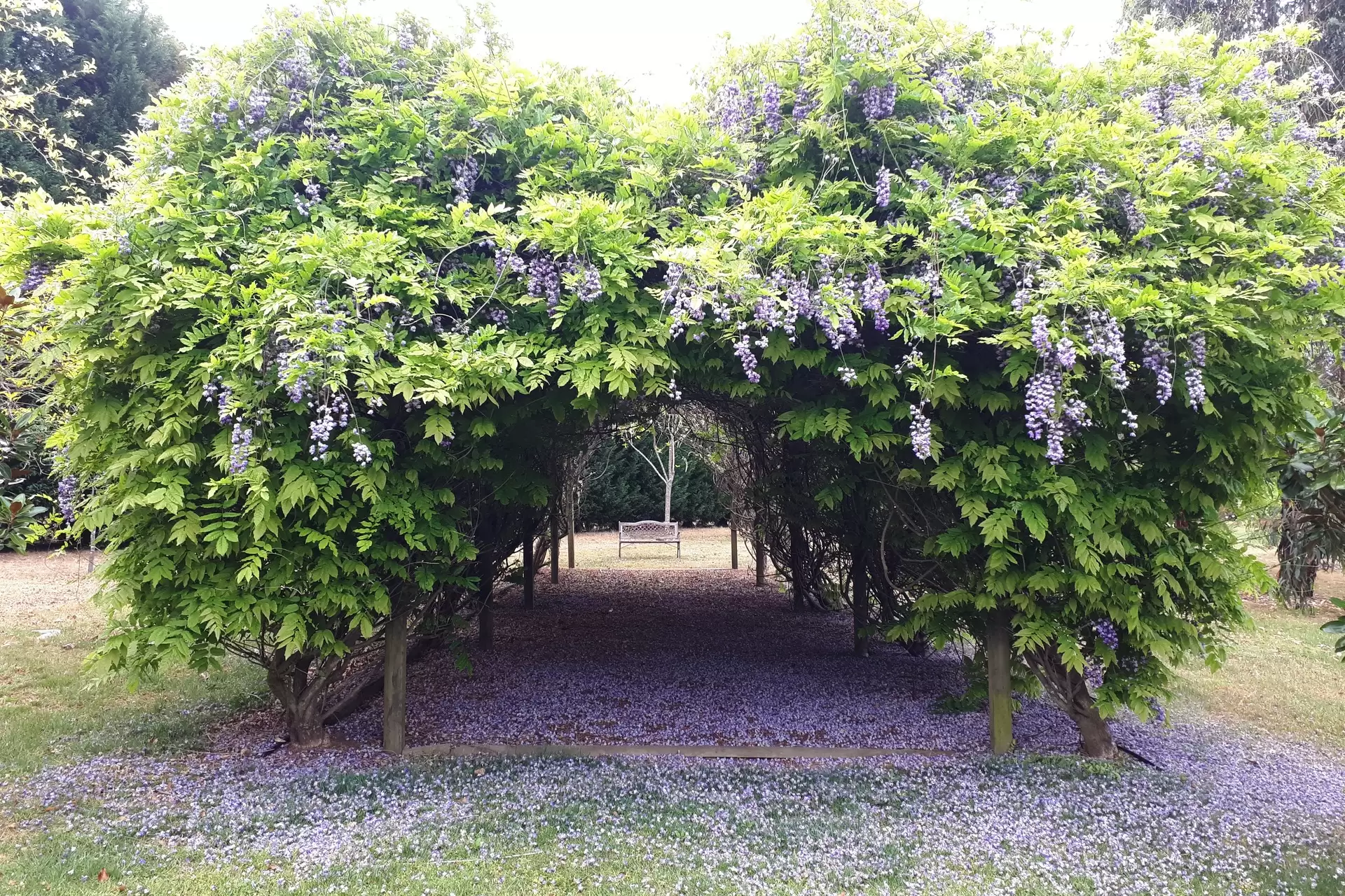 14-16 Hambridge Road, Yerrinbool Sold by Drew Lindsay Sotheby's International Realty - image 28