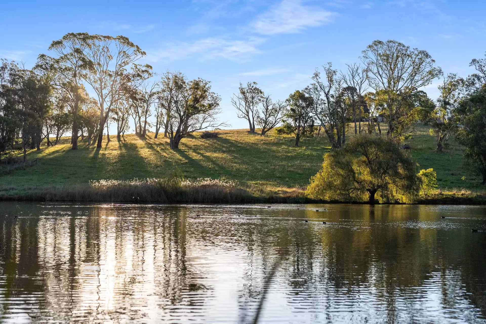 271 Woodlands Road, Woodlands Sold by Drew Lindsay Sotheby's International Realty - image 15