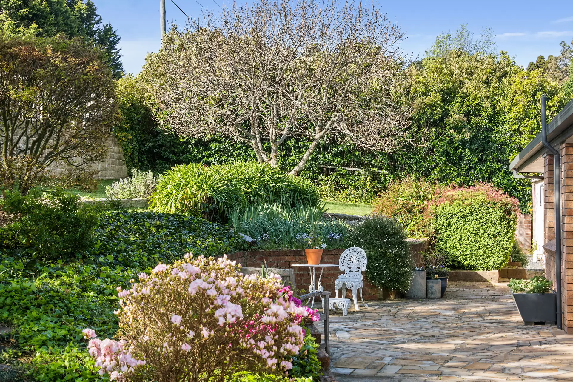 Robertson For Sale by Drew Lindsay Sotheby's International Realty - image 11