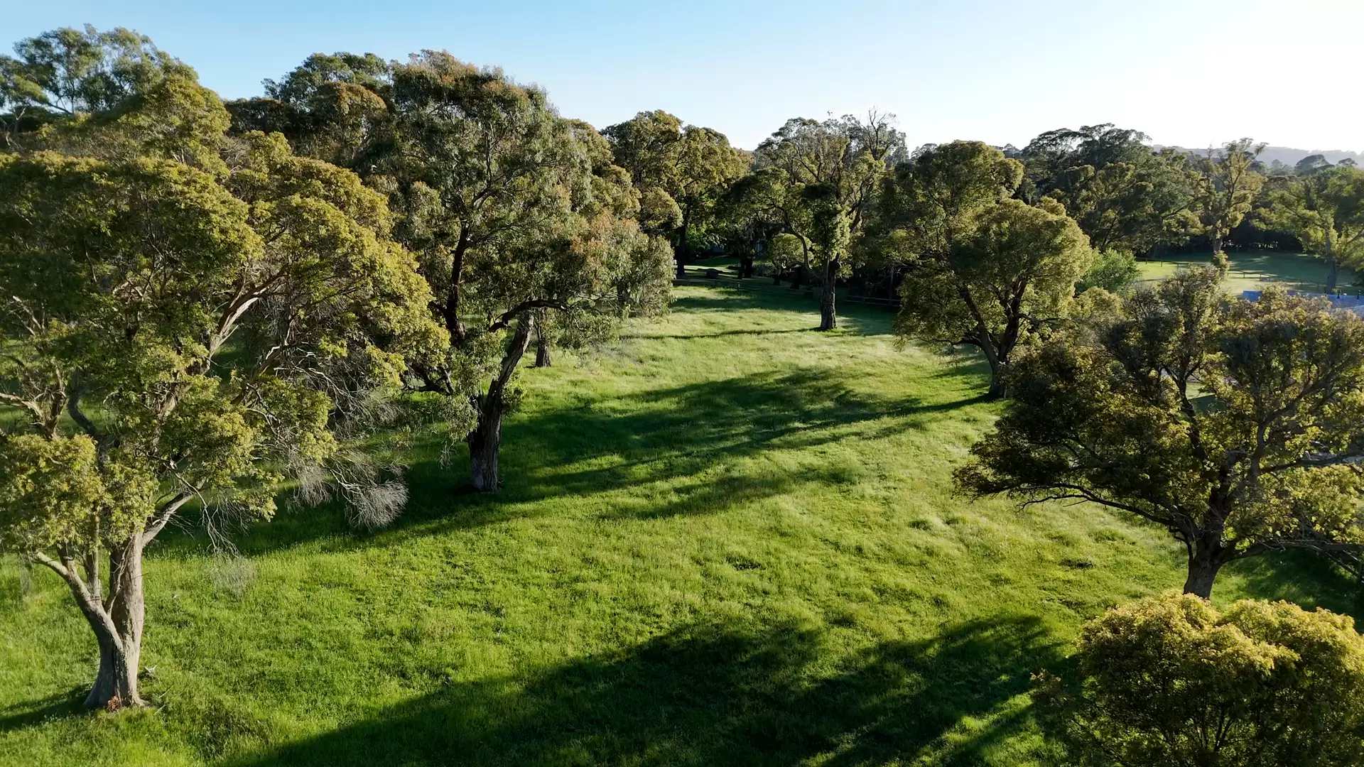 35 Elizabeth Street, Burradoo For Sale by Drew Lindsay Sotheby's International Realty - image 27