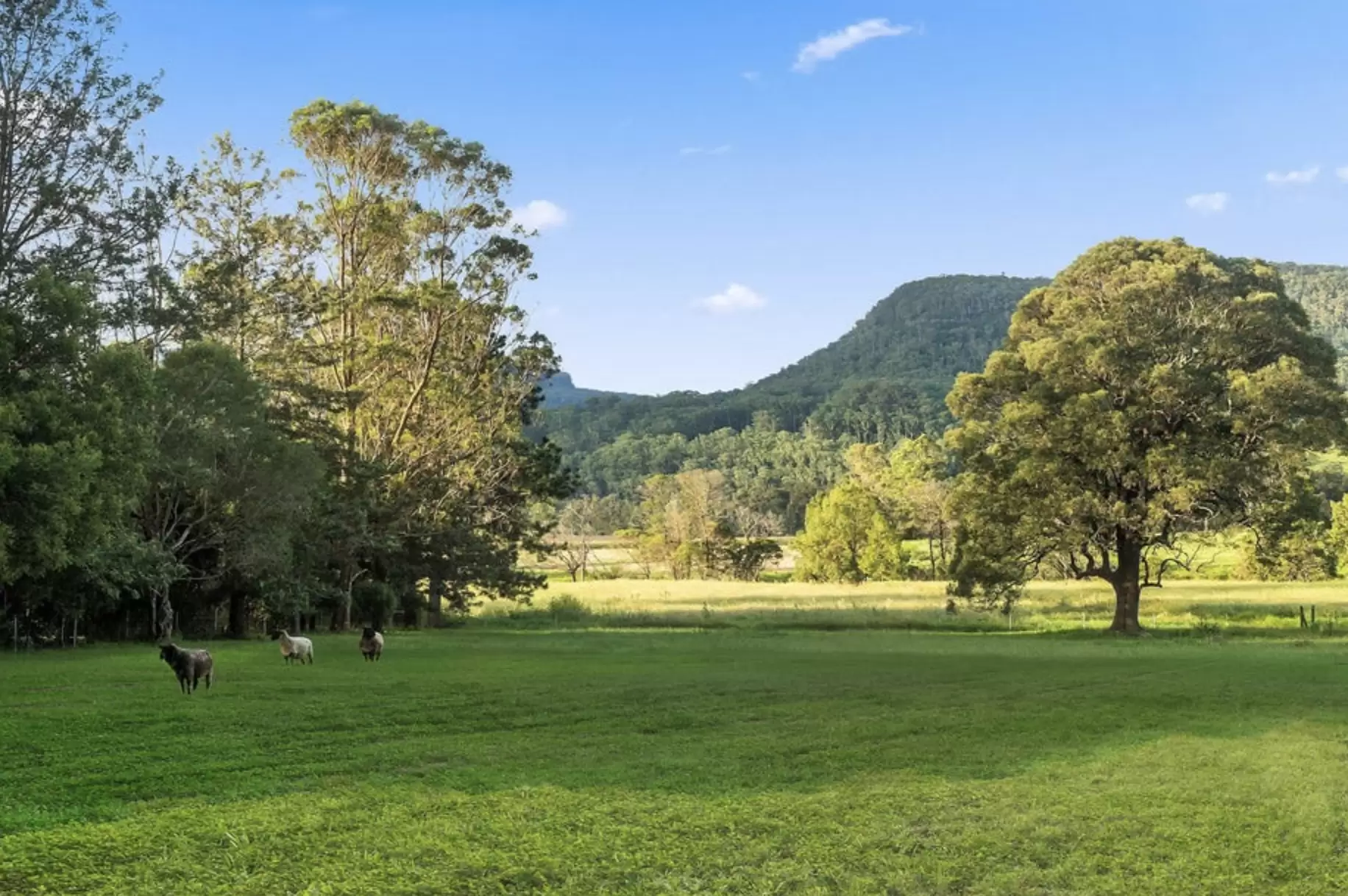 1490B Kangaroo Valley Road, Kangaroo Valley For Sale by Drew Lindsay Sotheby's International Realty - image 13