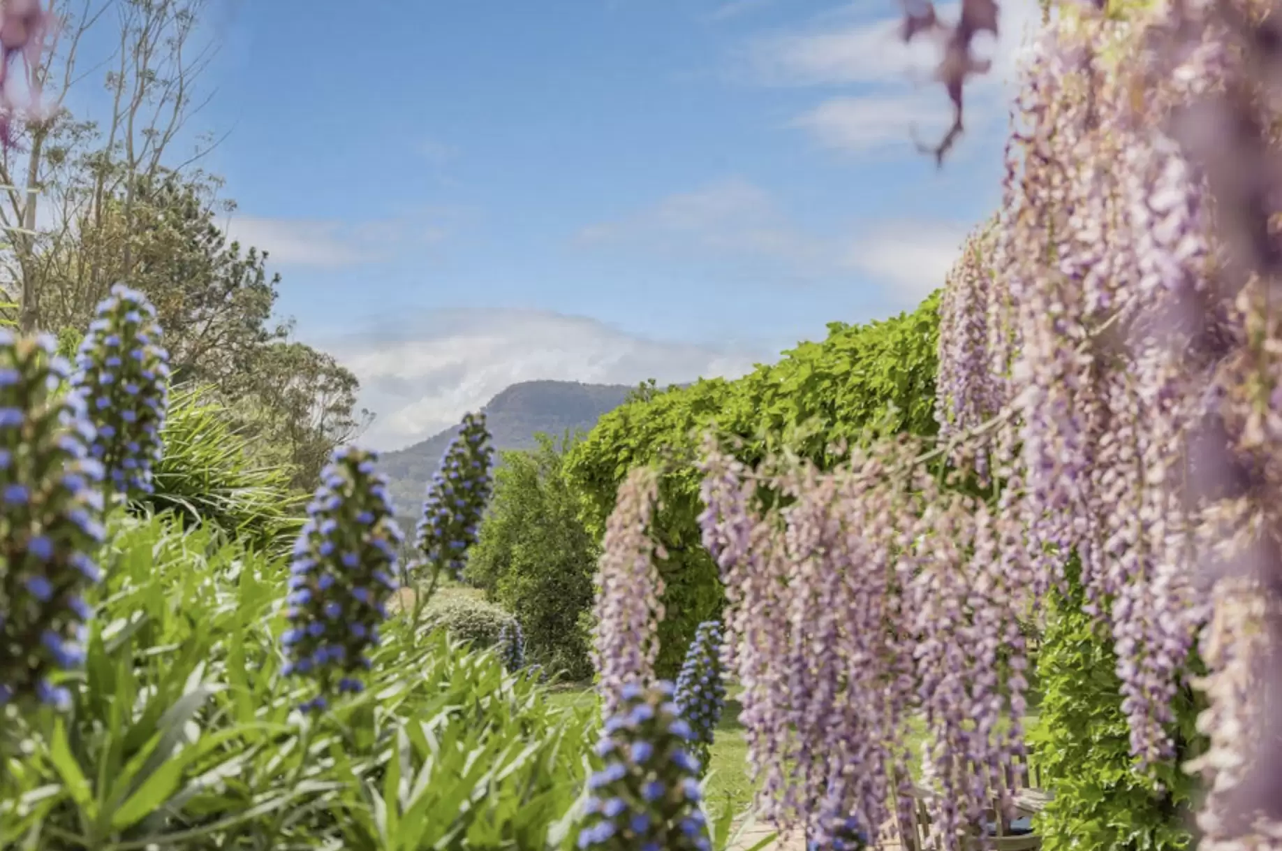 1490B Kangaroo Valley Road, Kangaroo Valley For Sale by Drew Lindsay Sotheby's International Realty - image 3