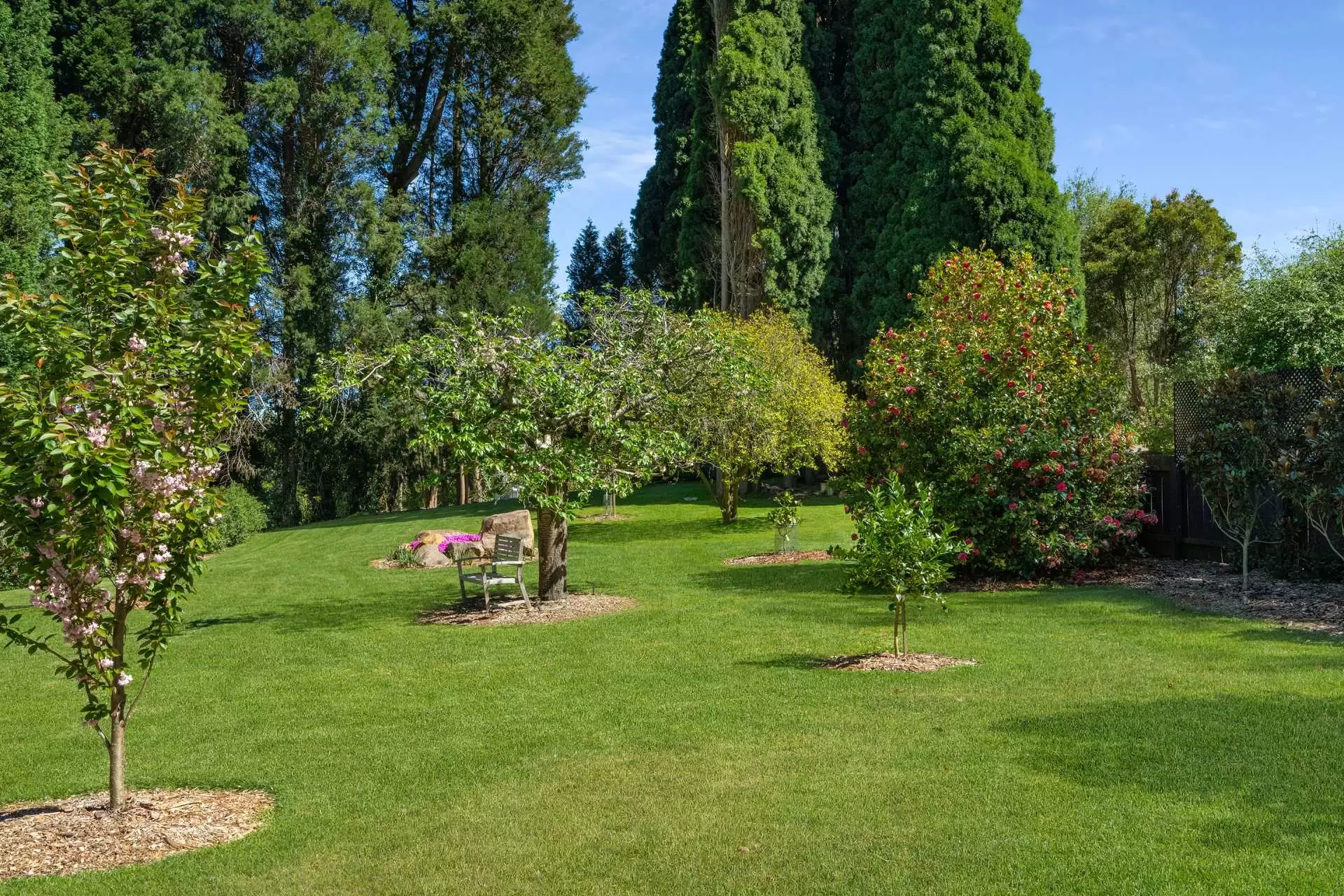 16 Cliff Street, Bowral For Sale by Drew Lindsay Sotheby's International Realty - image 18