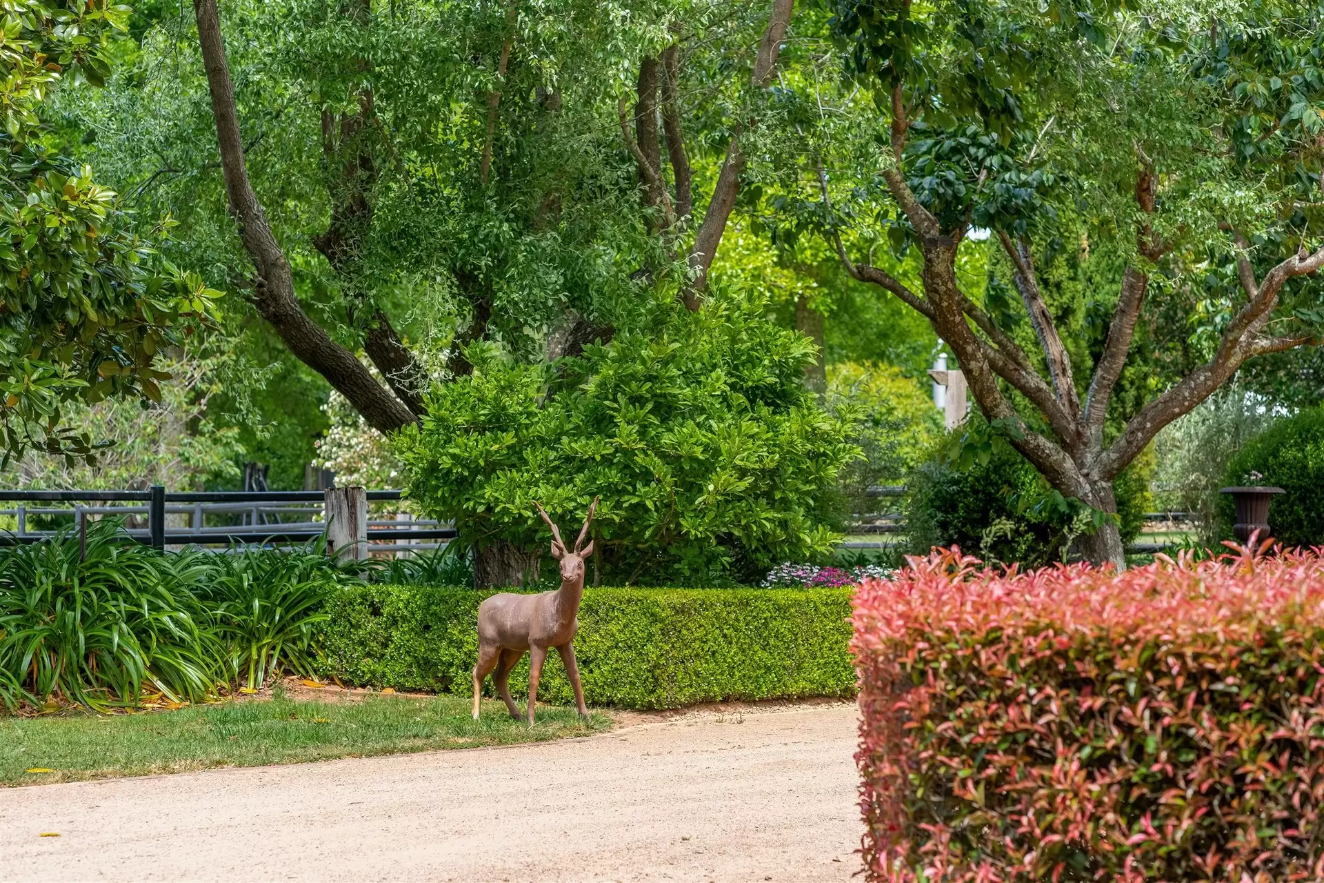227 Somerset Road, Fitzroy Falls For Sale by Drew Lindsay Sotheby's International Realty - image 18