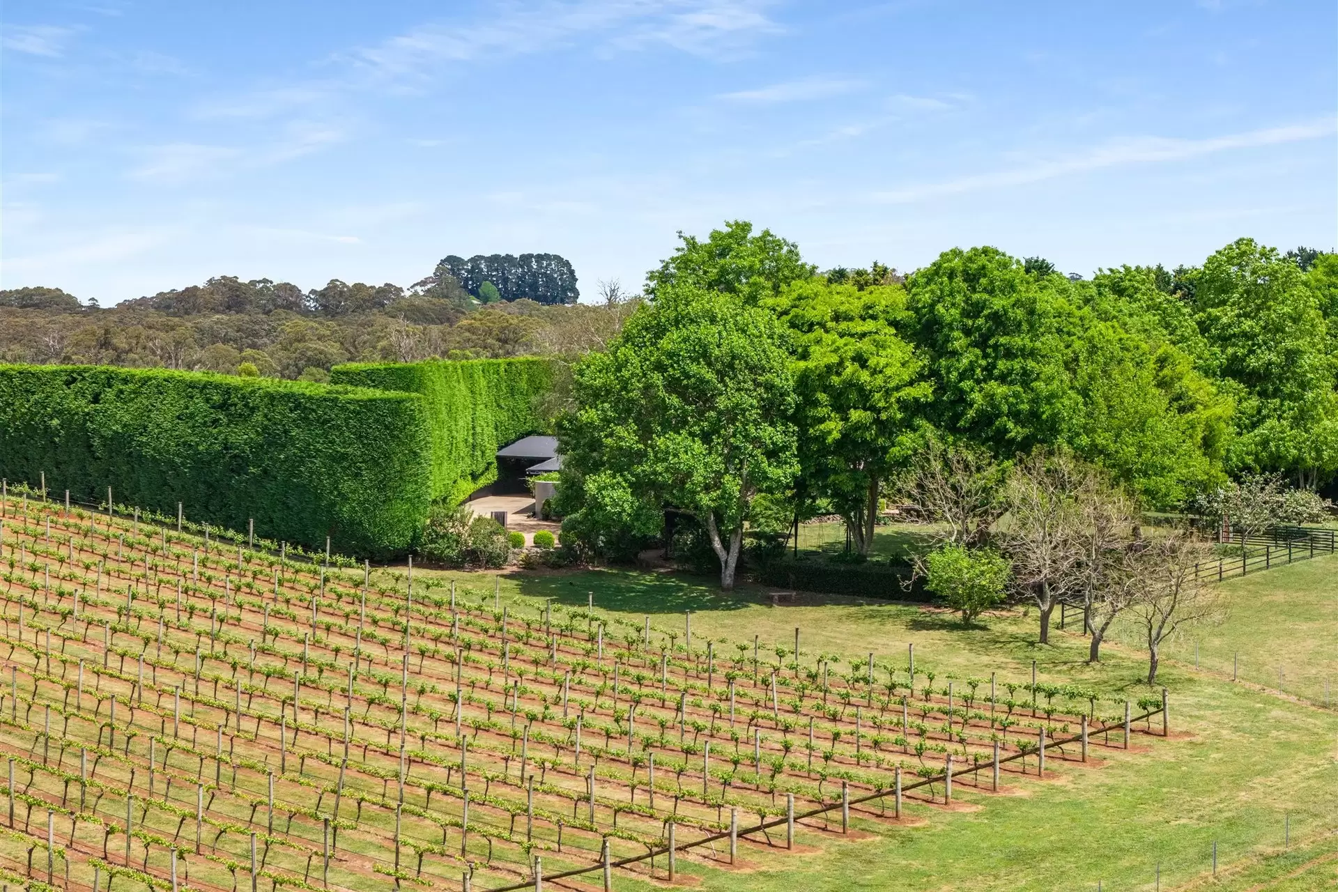 227 Somerset Road, Fitzroy Falls For Sale by Drew Lindsay Sotheby's International Realty - image 23