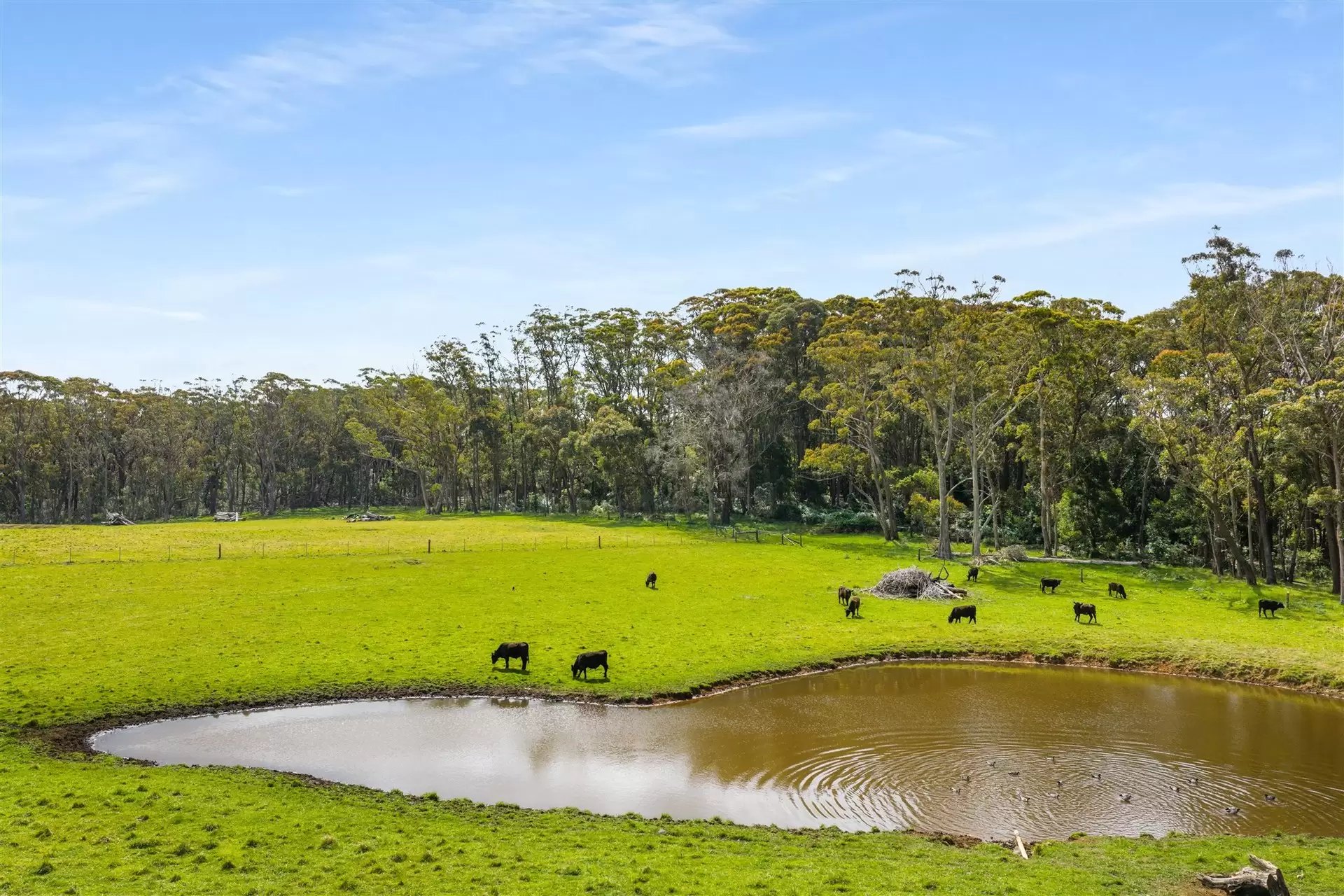 227 Somerset Road, Fitzroy Falls For Sale by Drew Lindsay Sotheby's International Realty - image 28