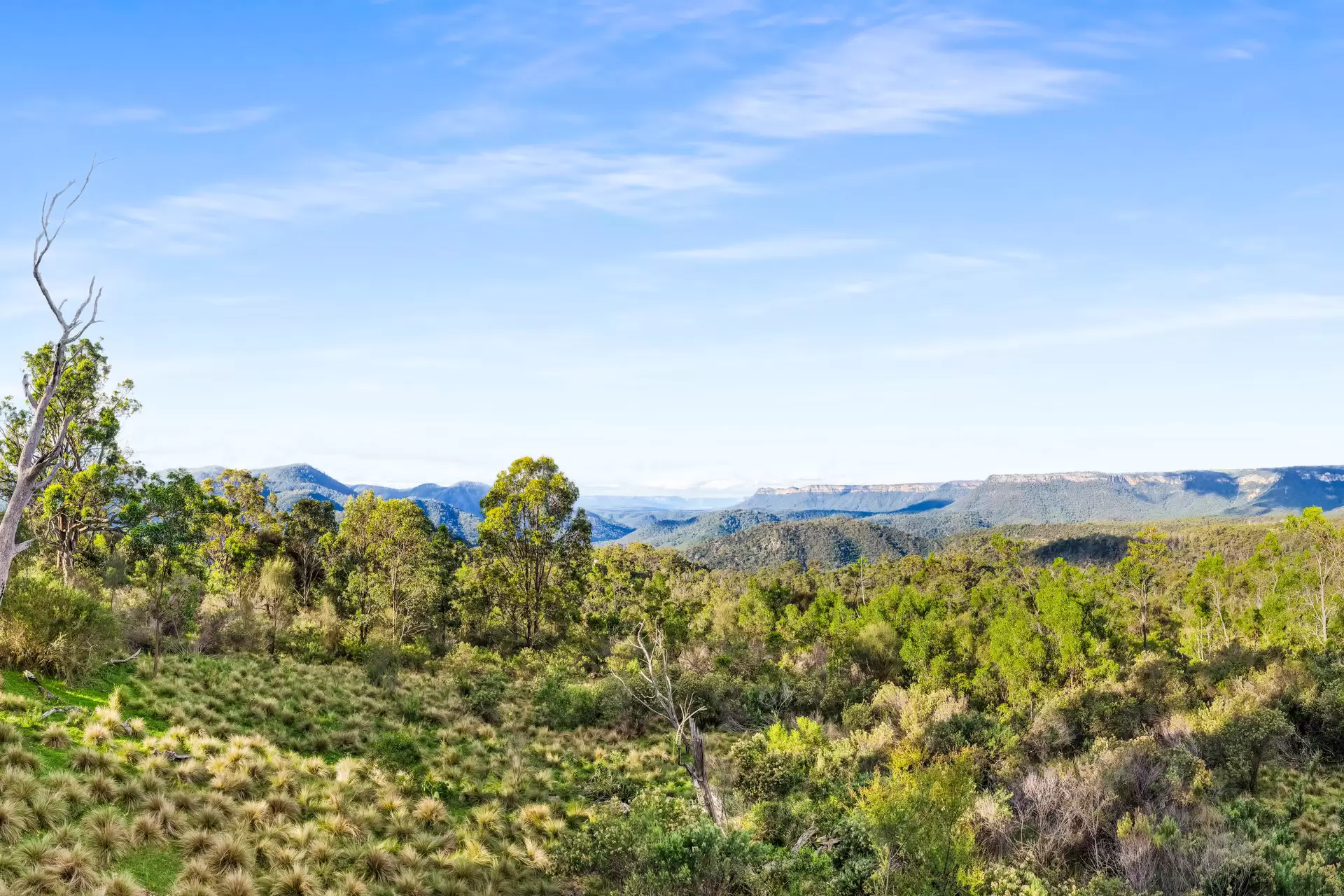 251 Obriens Road, Bullio For Sale by Drew Lindsay Sotheby's International Realty - image 6