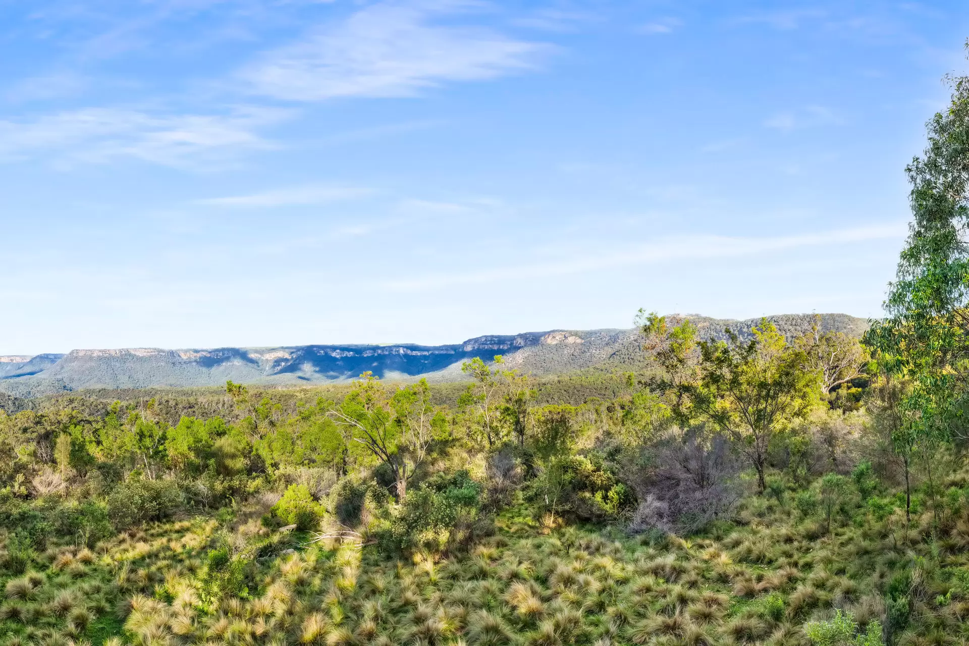 251 Obriens Road, Bullio For Sale by Drew Lindsay Sotheby's International Realty - image 11