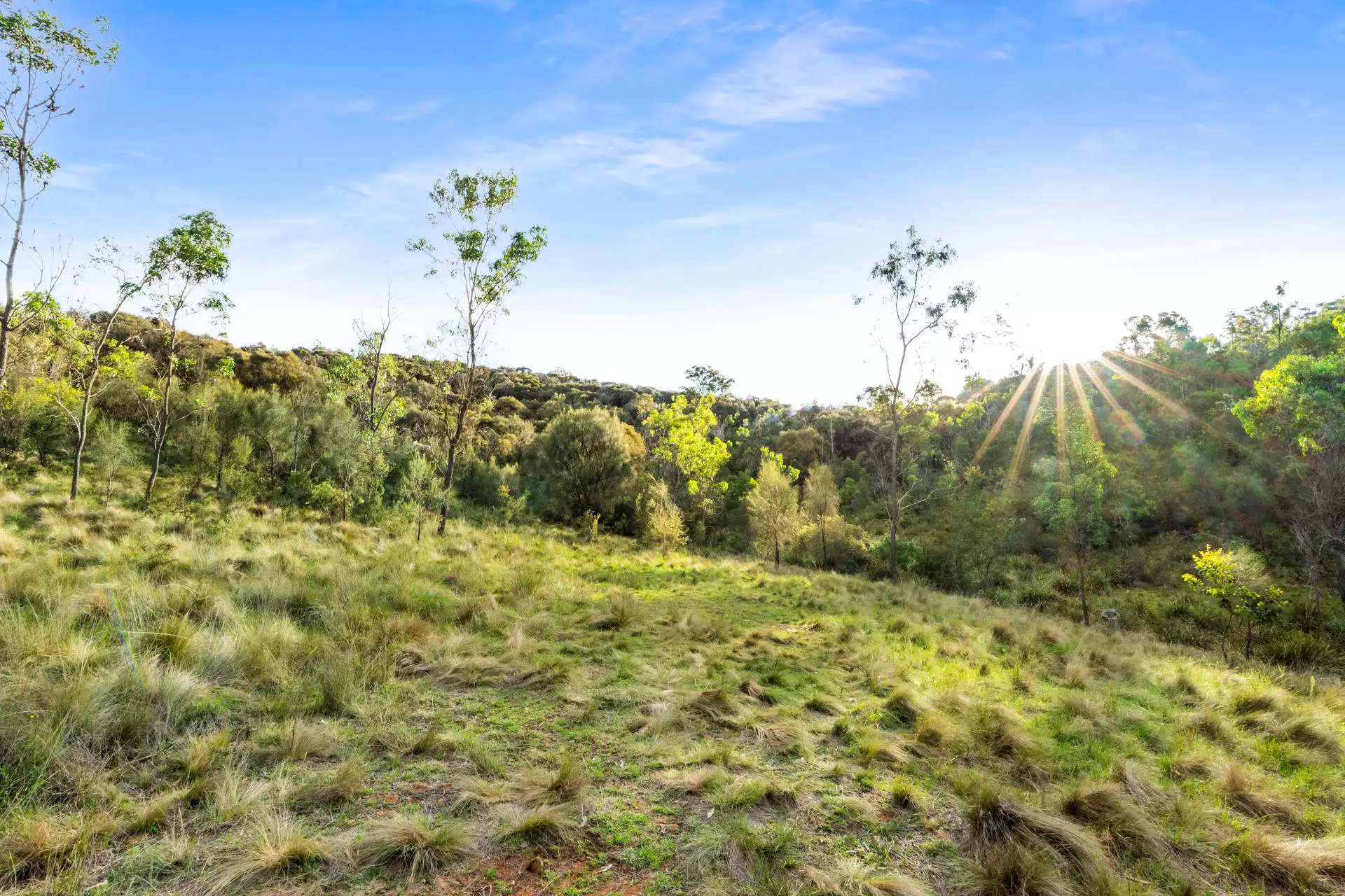 251 Obriens Road, Bullio For Sale by Drew Lindsay Sotheby's International Realty - image 10