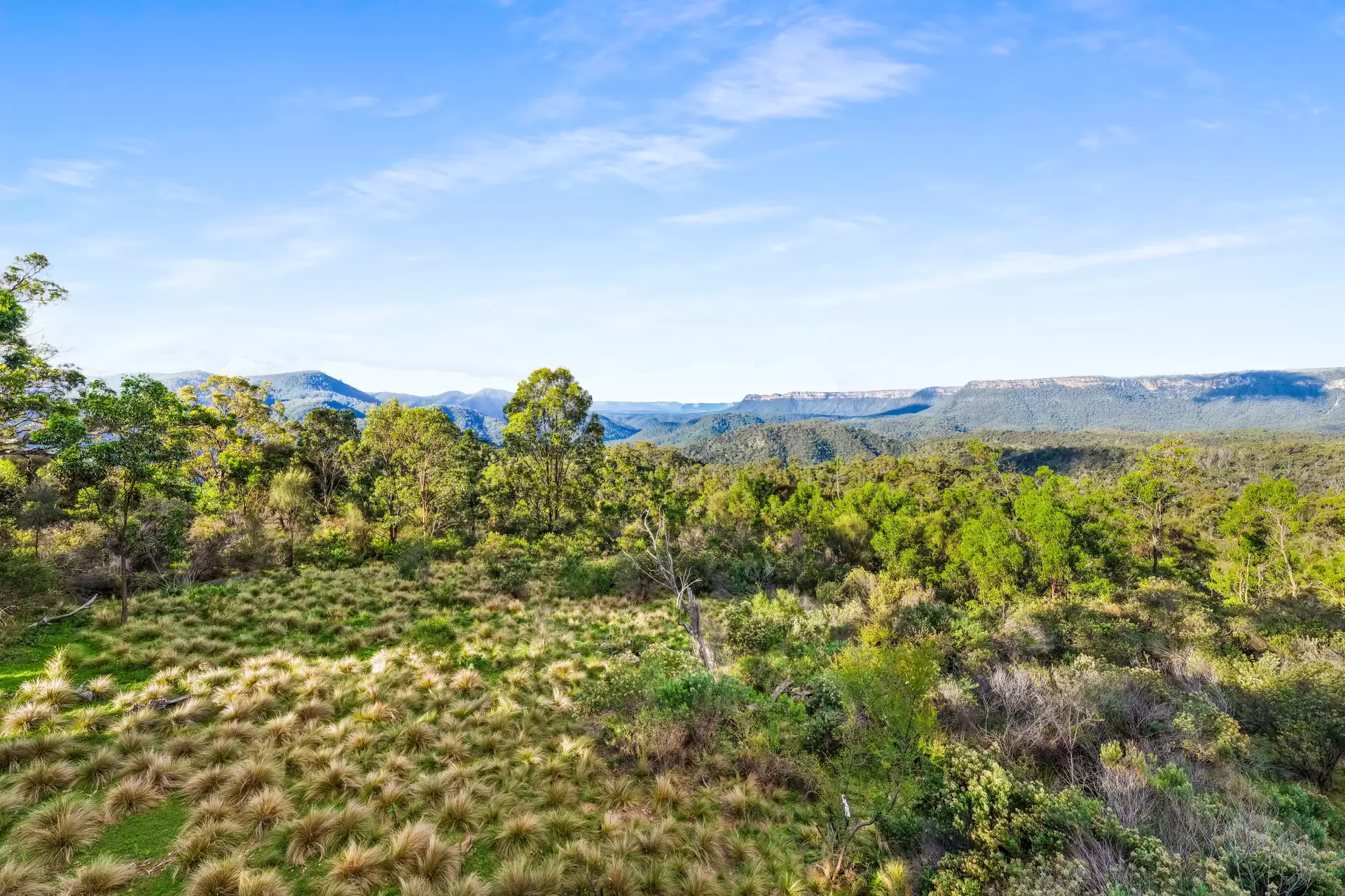 251 Obriens Road, Bullio For Sale by Drew Lindsay Sotheby's International Realty - image 4