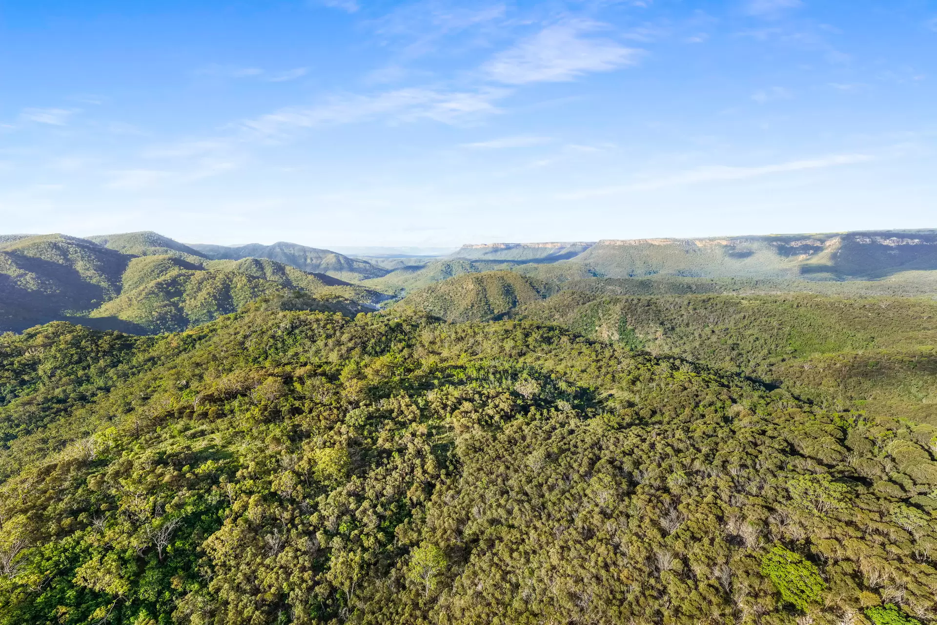 251 Obriens Road, Bullio For Sale by Drew Lindsay Sotheby's International Realty - image 8