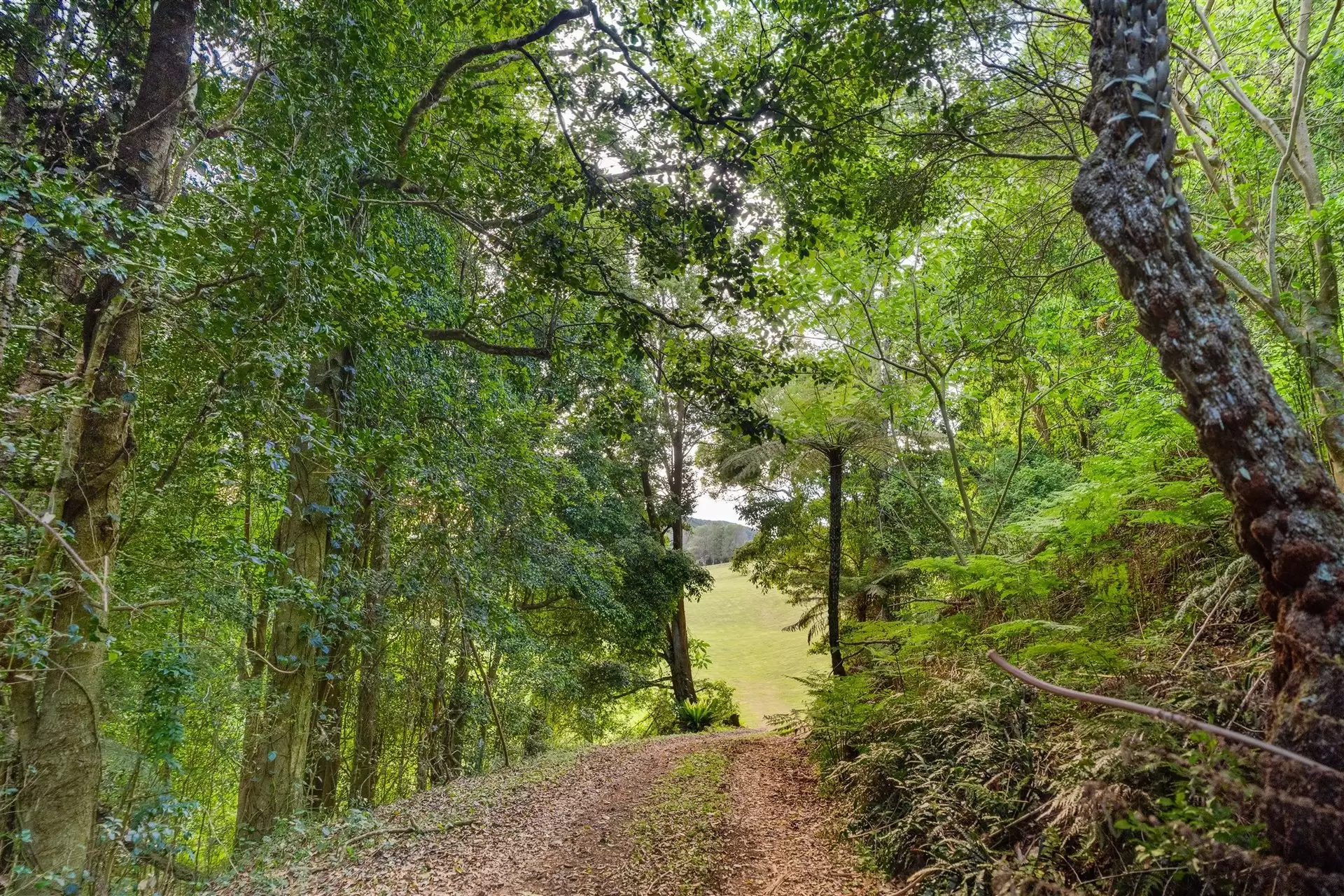 71 Nuninuna Drive, Jamberoo For Sale by Drew Lindsay Sotheby's International Realty - image 9