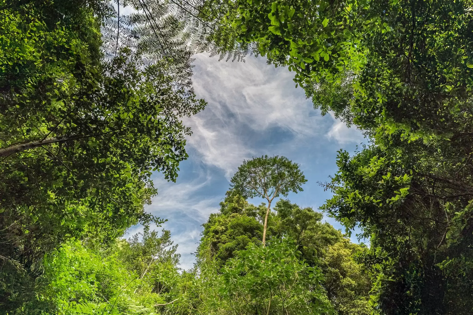 71 Nuninuna Drive, Jamberoo For Sale by Drew Lindsay Sotheby's International Realty - image 7