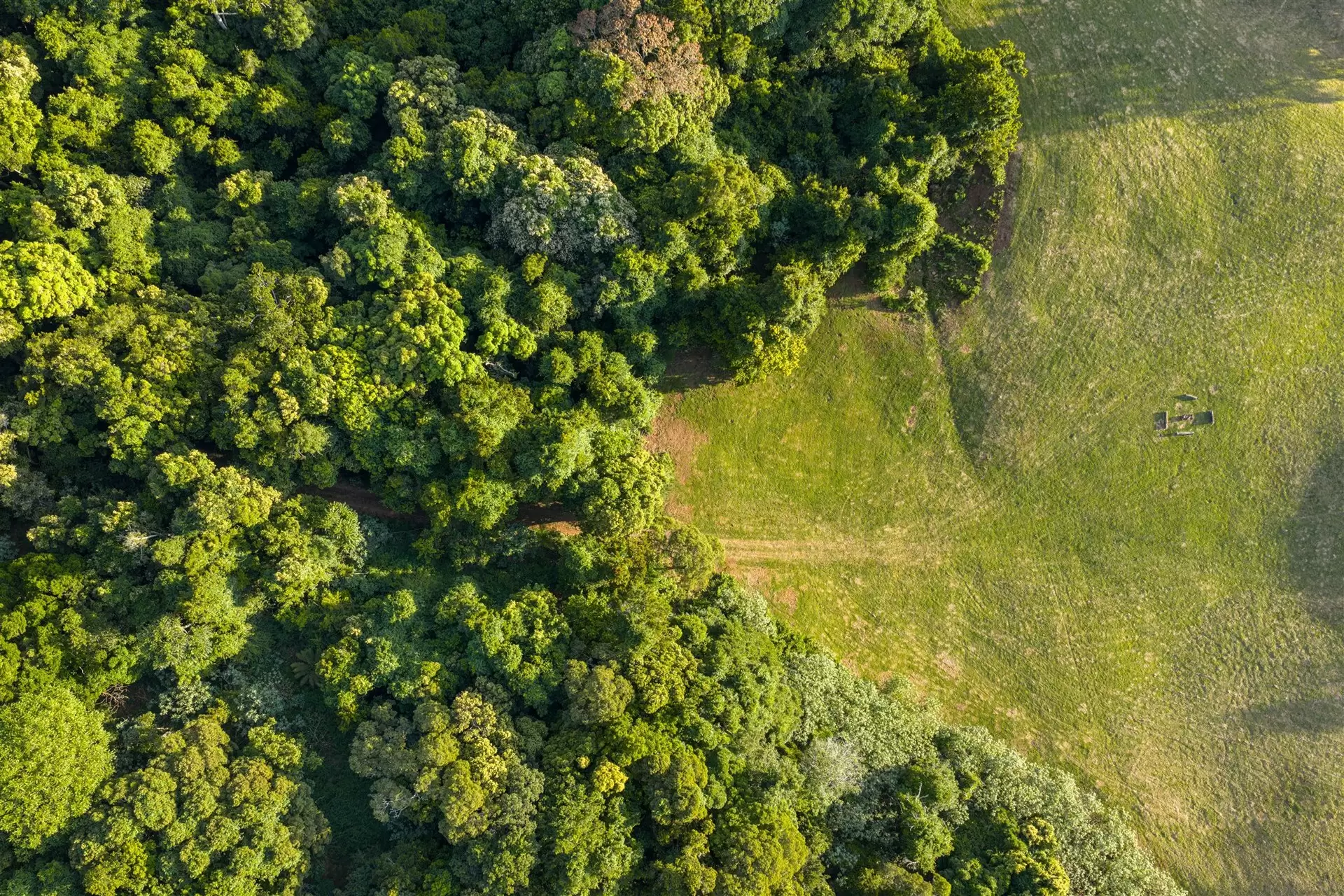 71 Nuninuna Drive, Jamberoo For Sale by Drew Lindsay Sotheby's International Realty - image 12