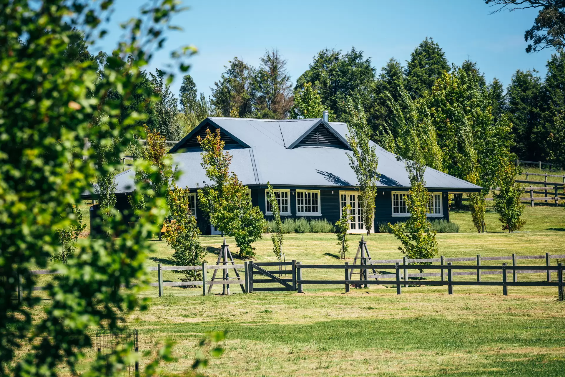 360 Tourist Road, Glenquarry For Sale by Drew Lindsay Sotheby's International Realty - image 13