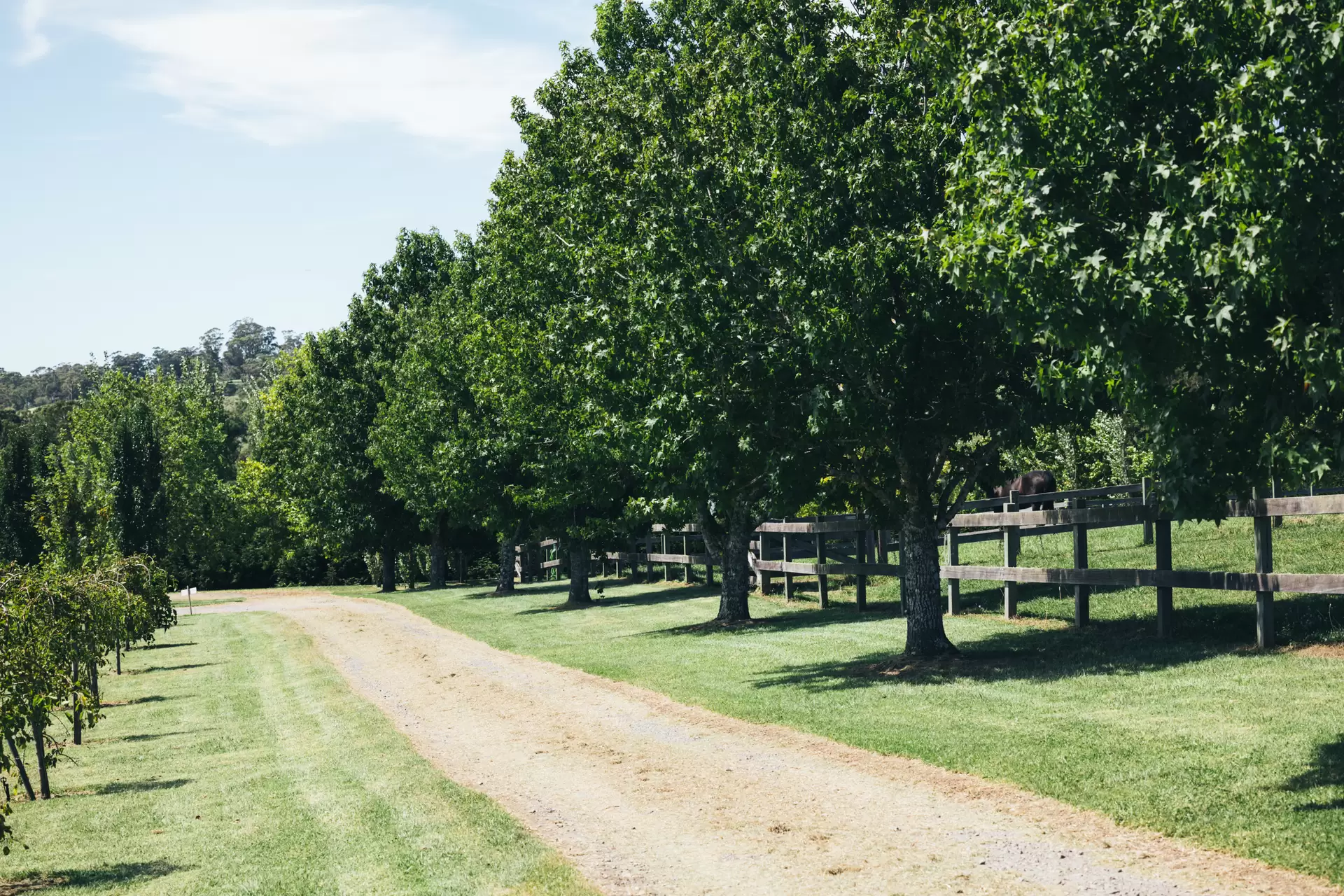 360 Tourist Road, Glenquarry For Sale by Drew Lindsay Sotheby's International Realty - image 21