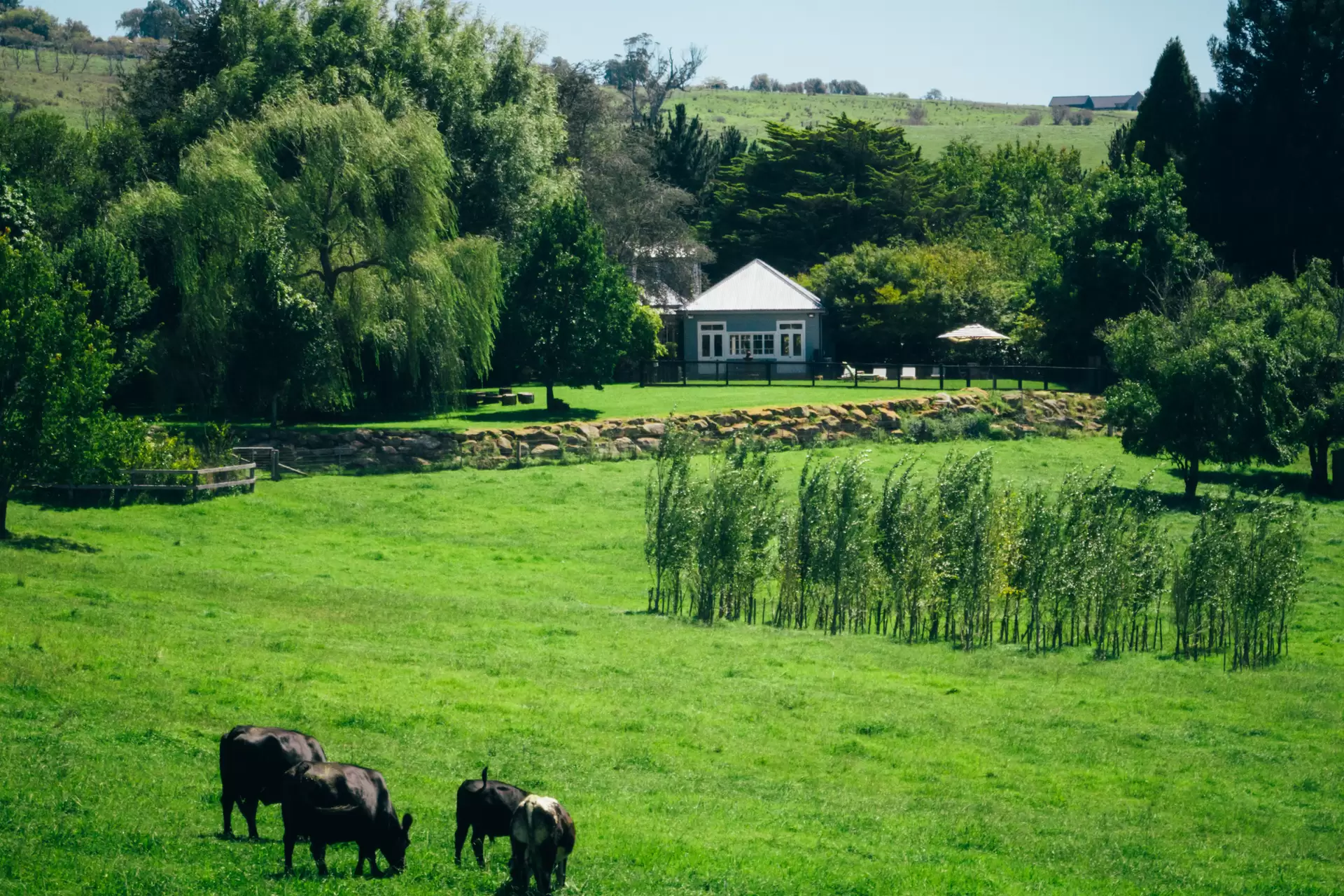 360 Tourist Road, Glenquarry For Sale by Drew Lindsay Sotheby's International Realty - image 18