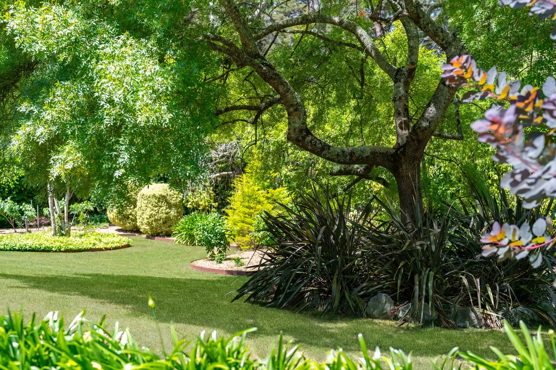 24 Boronia Street, Bowral For Sale by Drew Lindsay Sotheby's International Realty - image 28