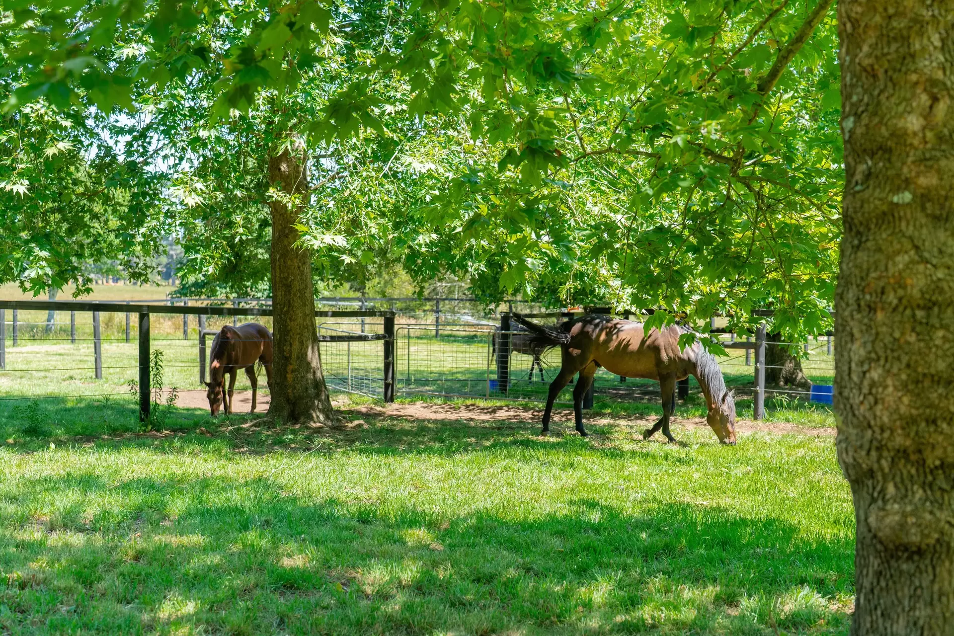 10 Church Street, Burrawang For Sale by Drew Lindsay Sotheby's International Realty - image 23