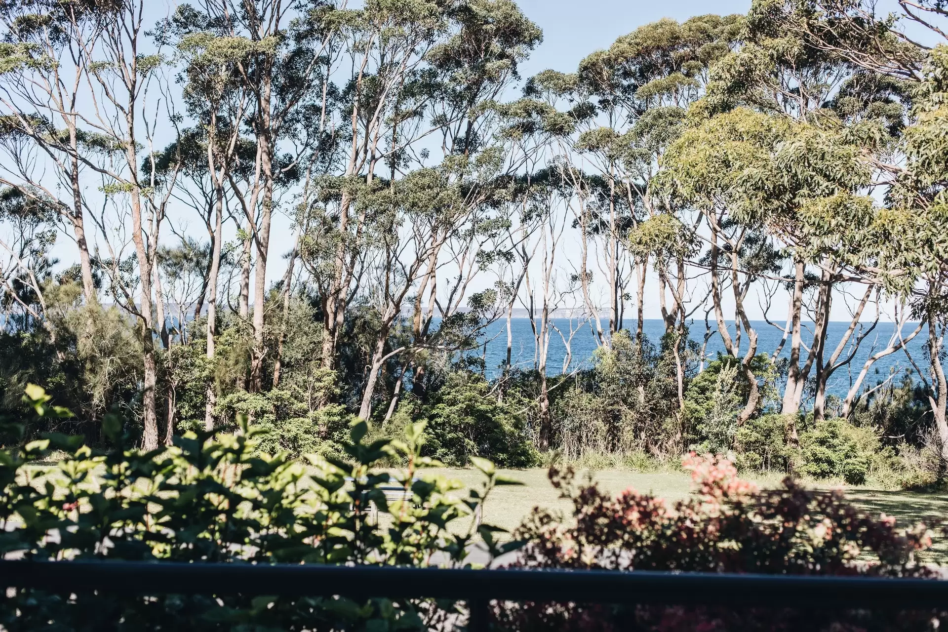 29 Cyrus Street, Hyams Beach For Sale by Drew Lindsay Sotheby's International Realty - image 14