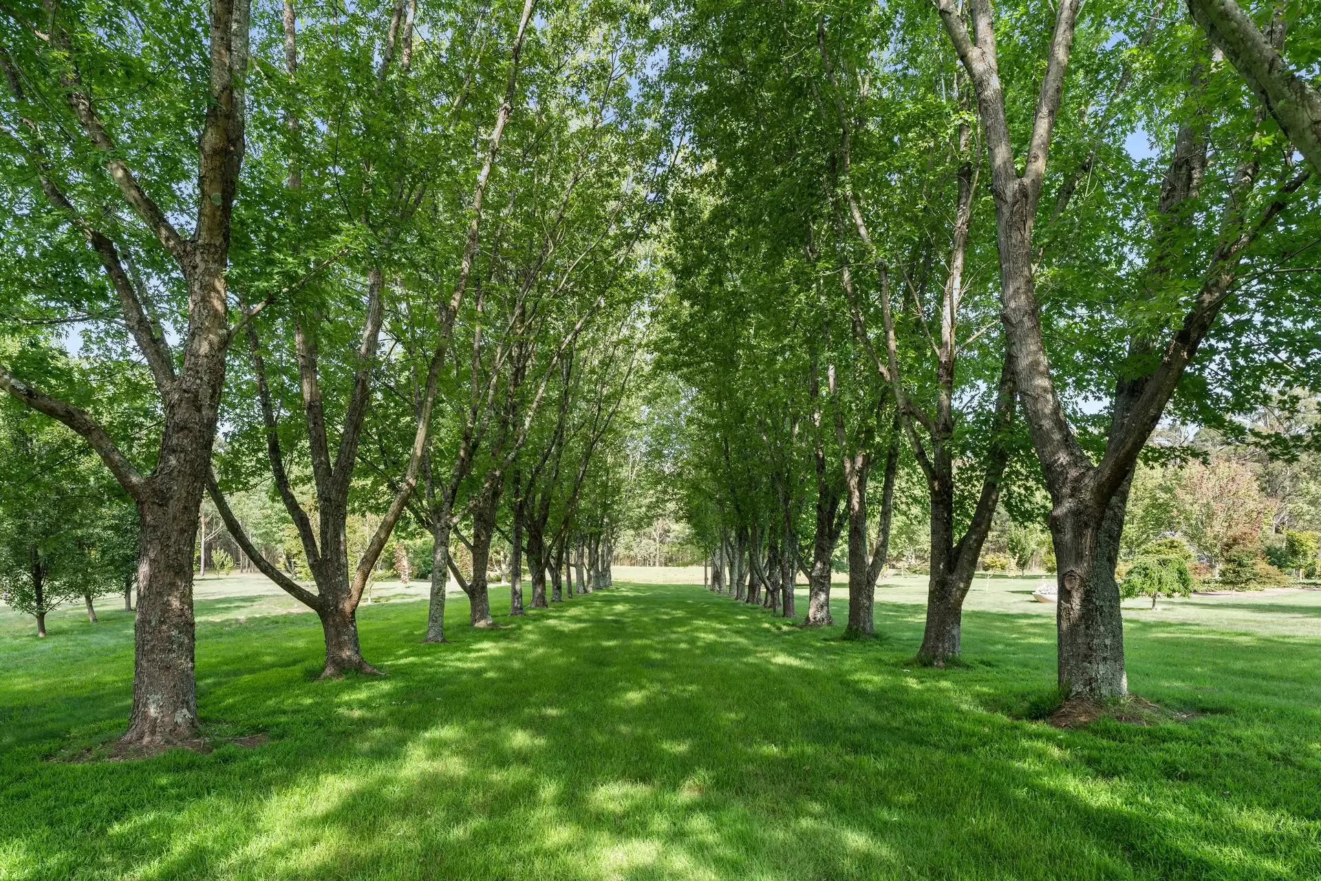 11 Evelyn Avenue, Bundanoon For Sale by Drew Lindsay Sotheby's International Realty - image 33