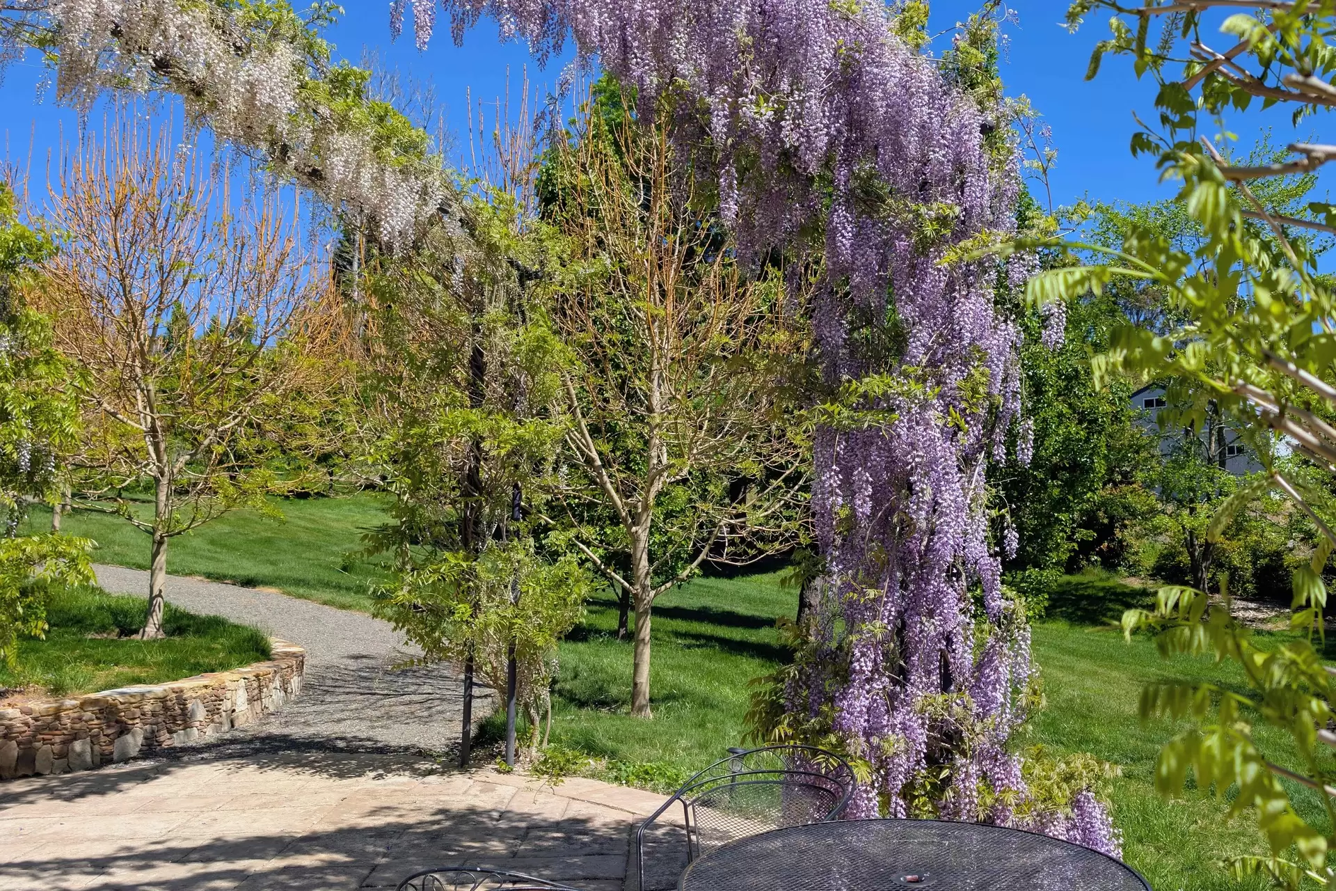 11 Evelyn Avenue, Bundanoon For Sale by Drew Lindsay Sotheby's International Realty - image 29