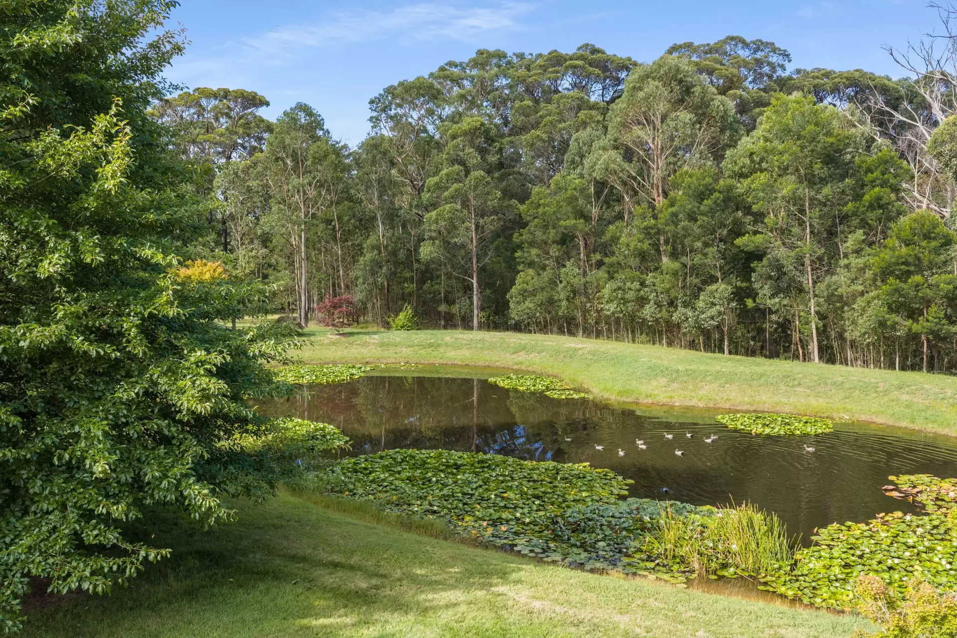 11 Evelyn Avenue, Bundanoon For Sale by Drew Lindsay Sotheby's International Realty - image 32