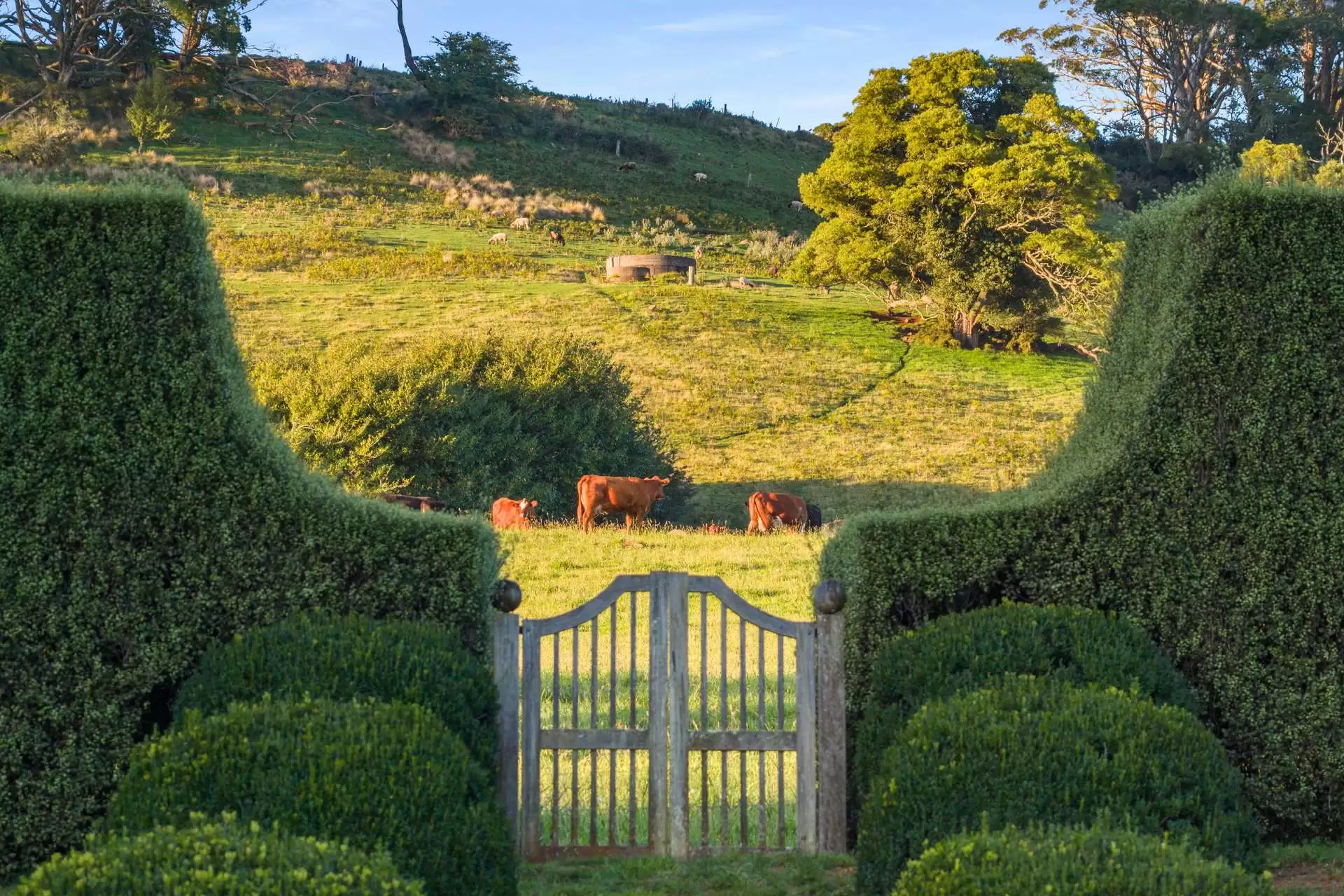 225 Wildes Meadow Road, Wildes Meadow For Sale by Drew Lindsay Sotheby's International Realty - image 33