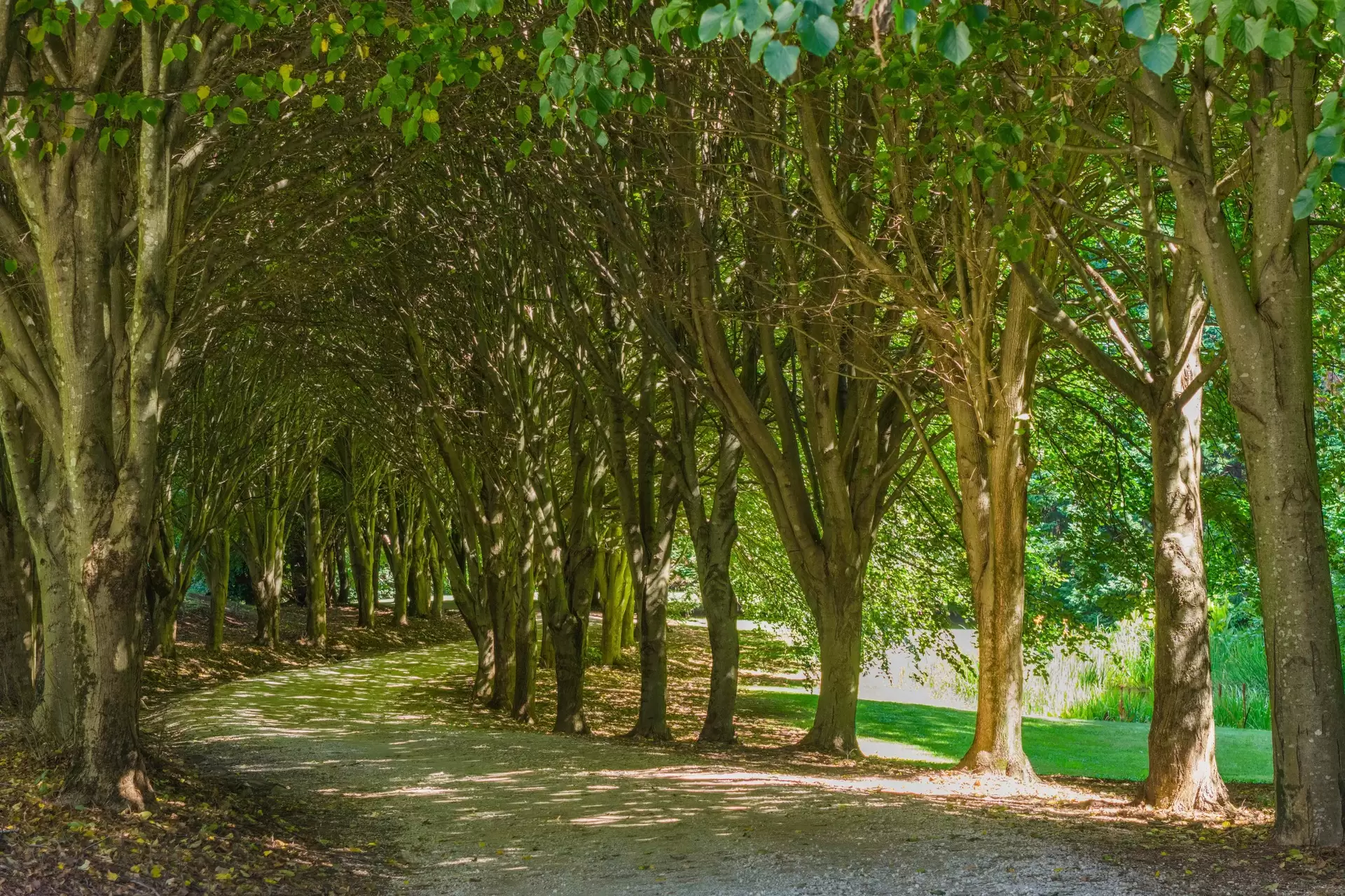 225 Wildes Meadow Road, Wildes Meadow For Sale by Drew Lindsay Sotheby's International Realty - image 4