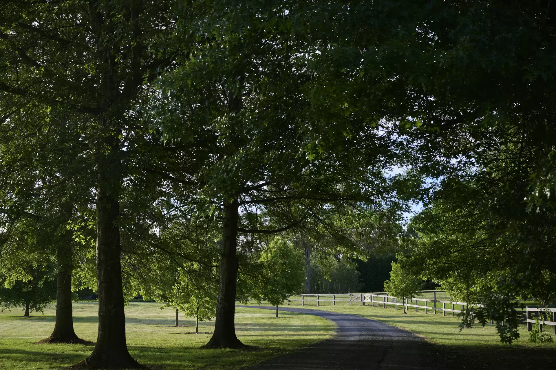 Burradoo For Sale by Drew Lindsay Sotheby's International Realty - image 2