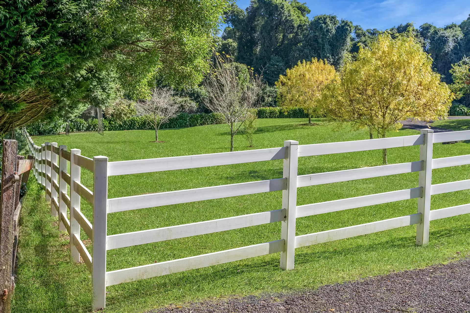 101 Pearsons Lane, Robertson For Sale by Drew Lindsay Sotheby's International Realty - image 25