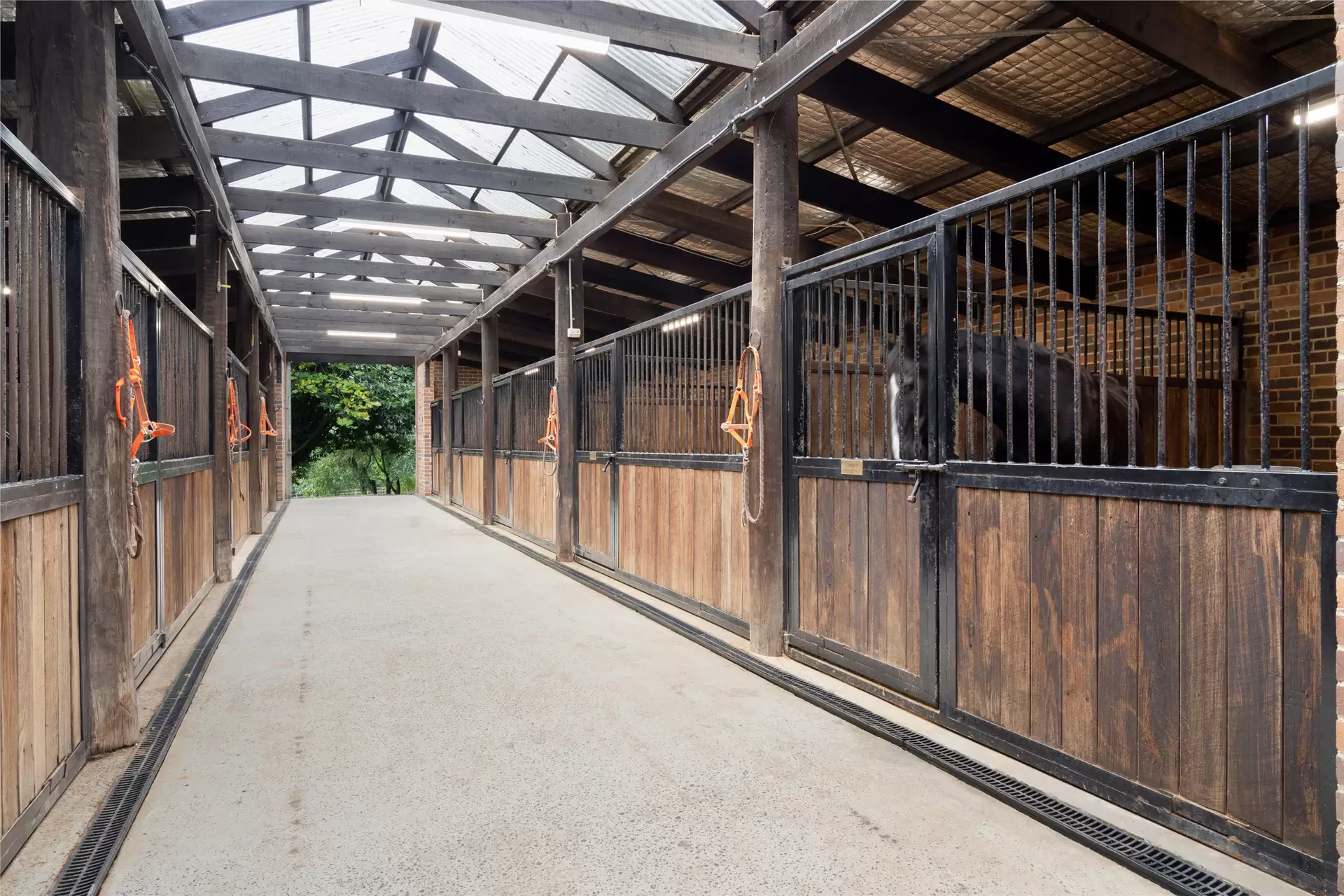 101 Pearsons Lane, Robertson For Sale by Drew Lindsay Sotheby's International Realty - image 18