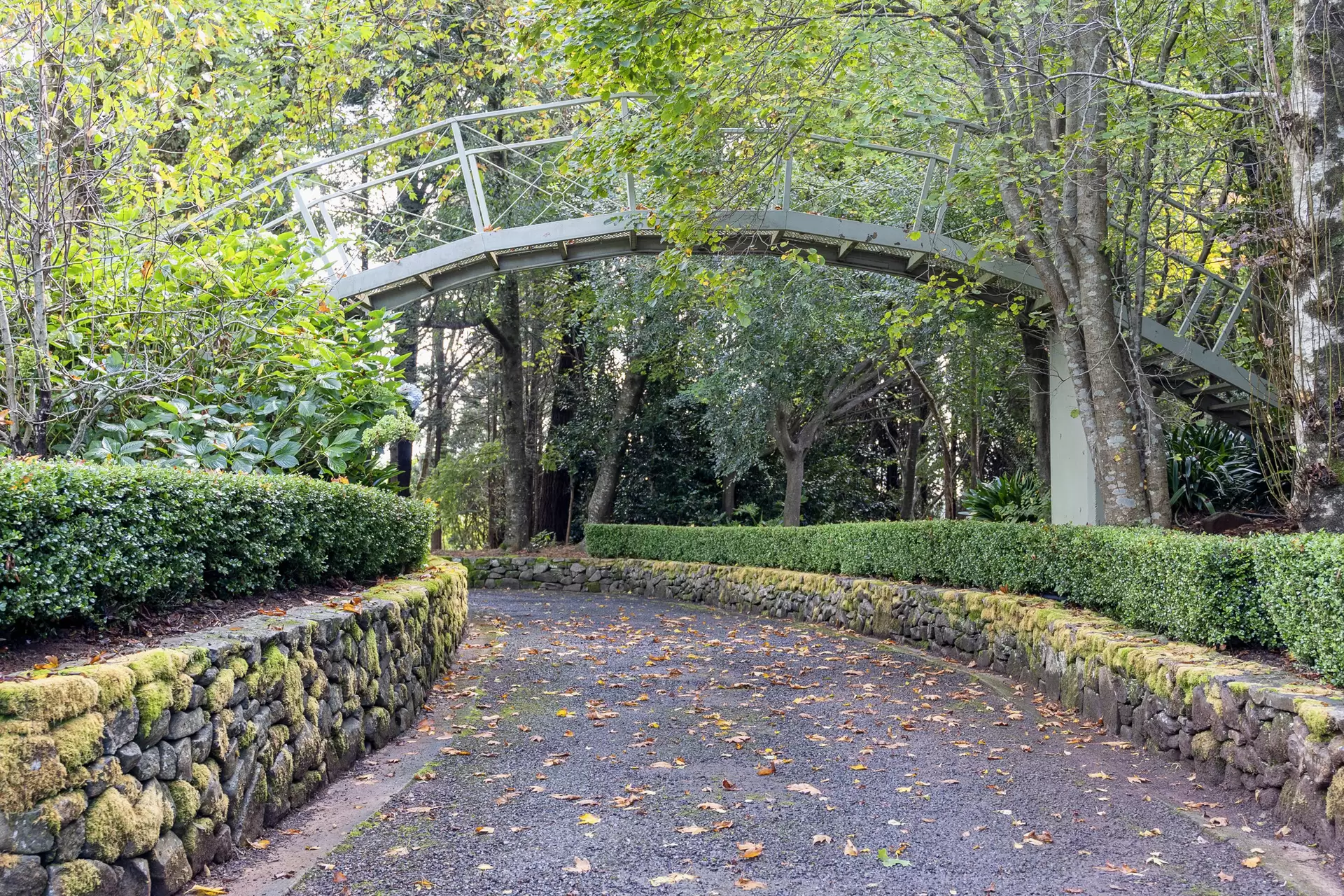 101 Pearsons Lane, Robertson For Sale by Drew Lindsay Sotheby's International Realty - image 26