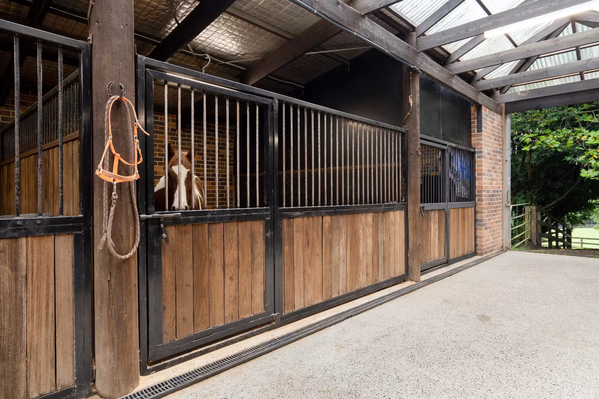 101 Pearsons Lane, Robertson For Sale by Drew Lindsay Sotheby's International Realty - image 17