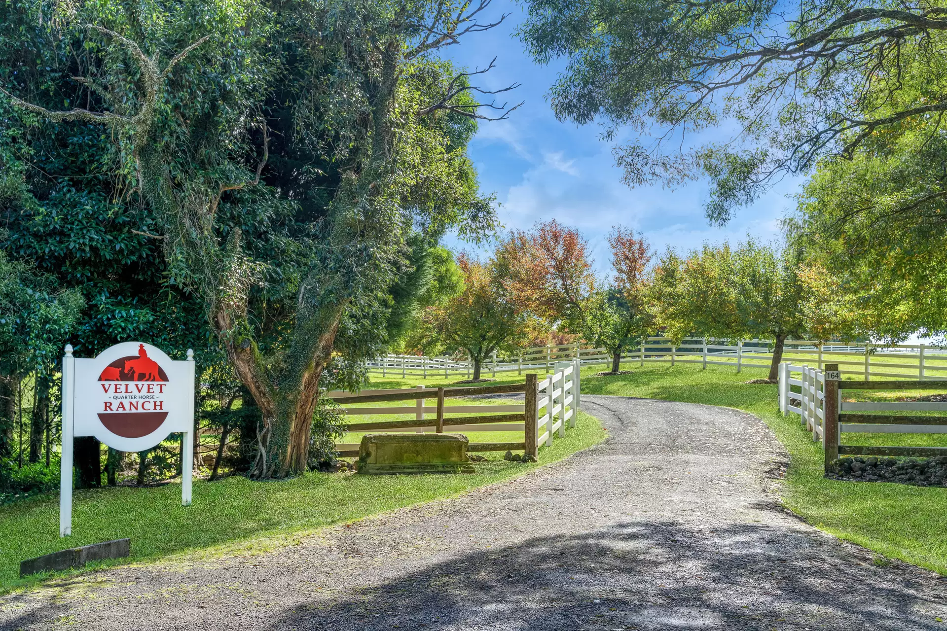 101 Pearsons Lane, Robertson For Sale by Drew Lindsay Sotheby's International Realty - image 27