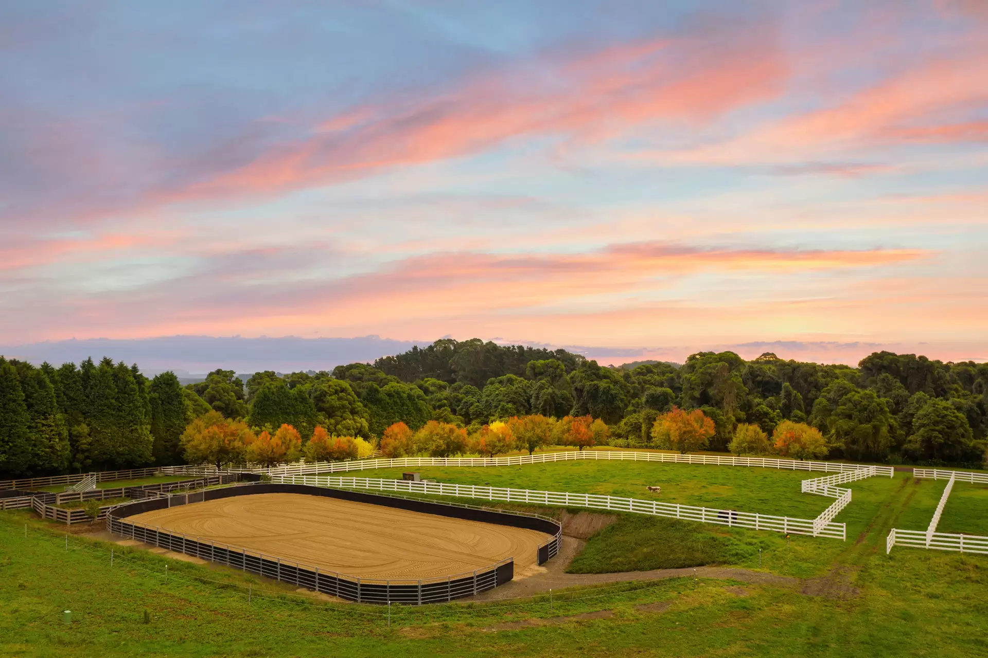 101 Pearsons Lane, Robertson For Sale by Drew Lindsay Sotheby's International Realty - image 14