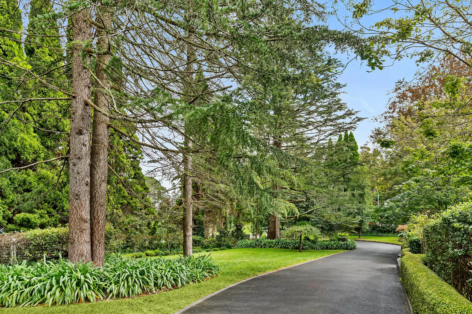 13 Hamilton Avenue, Bowral For Sale by Drew Lindsay Sotheby's International Realty - image 16