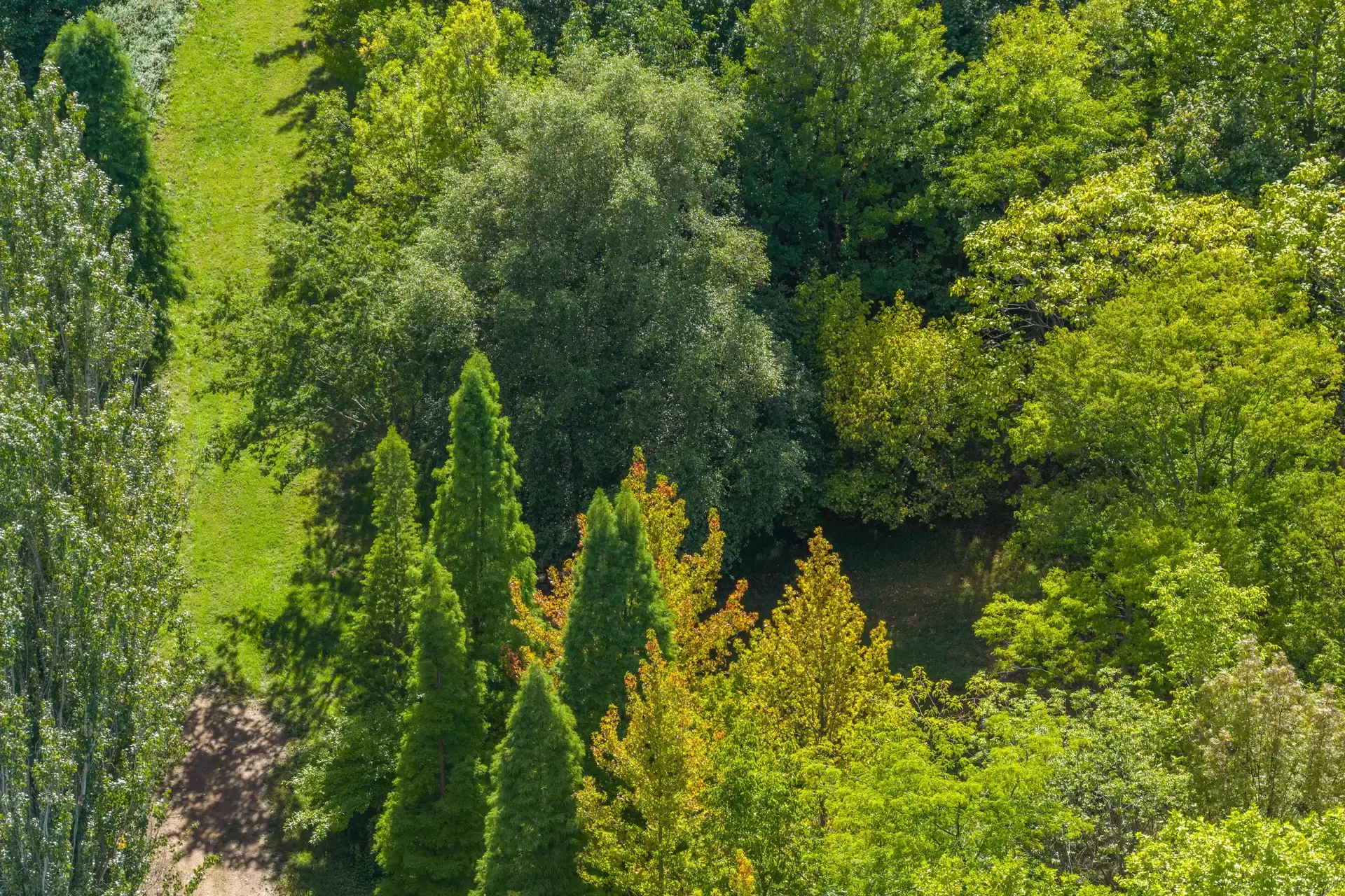 41 Oxleys Hill Road, Bowral For Sale by Drew Lindsay Sotheby's International Realty - image 3