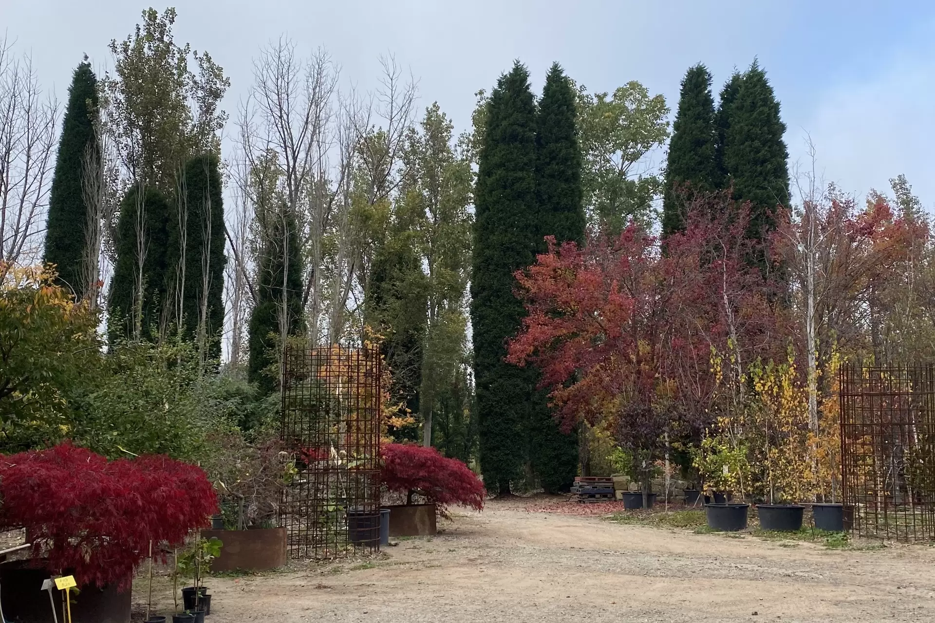 41 Oxleys Hill Road, Bowral For Sale by Drew Lindsay Sotheby's International Realty - image 5