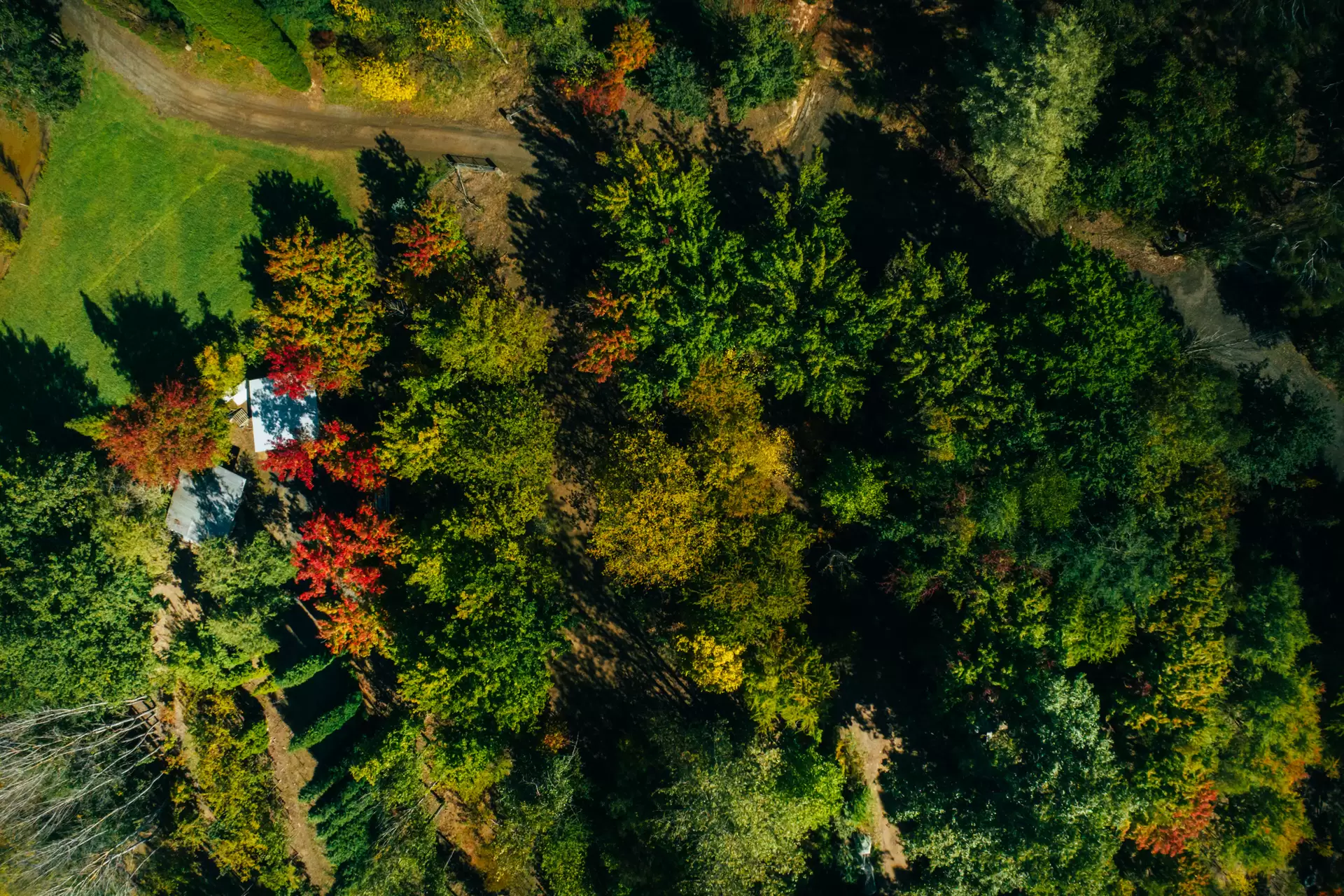 41 Oxleys Hill Road, Bowral For Sale by Drew Lindsay Sotheby's International Realty - image 4