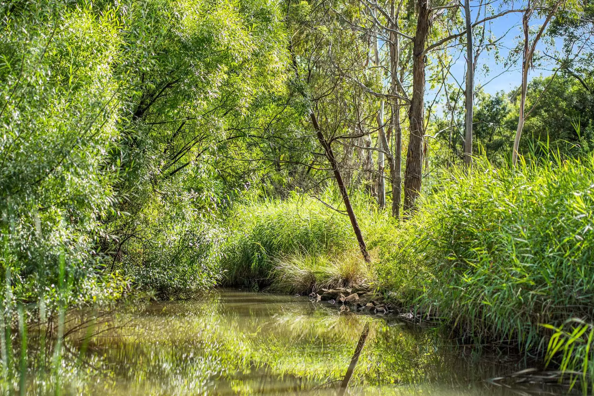 41 Oxleys Hill Road, Bowral For Sale by Drew Lindsay Sotheby's International Realty - image 14
