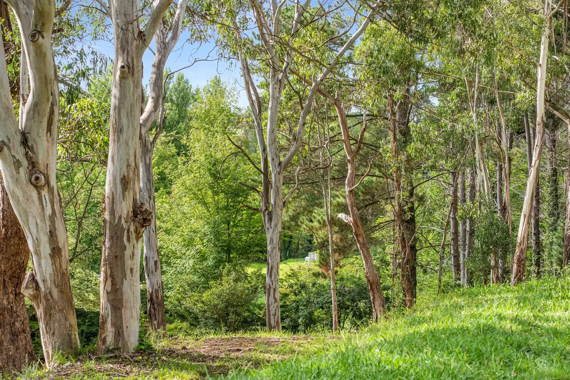 41 Oxleys Hill Road, Bowral For Sale by Drew Lindsay Sotheby's International Realty - image 12