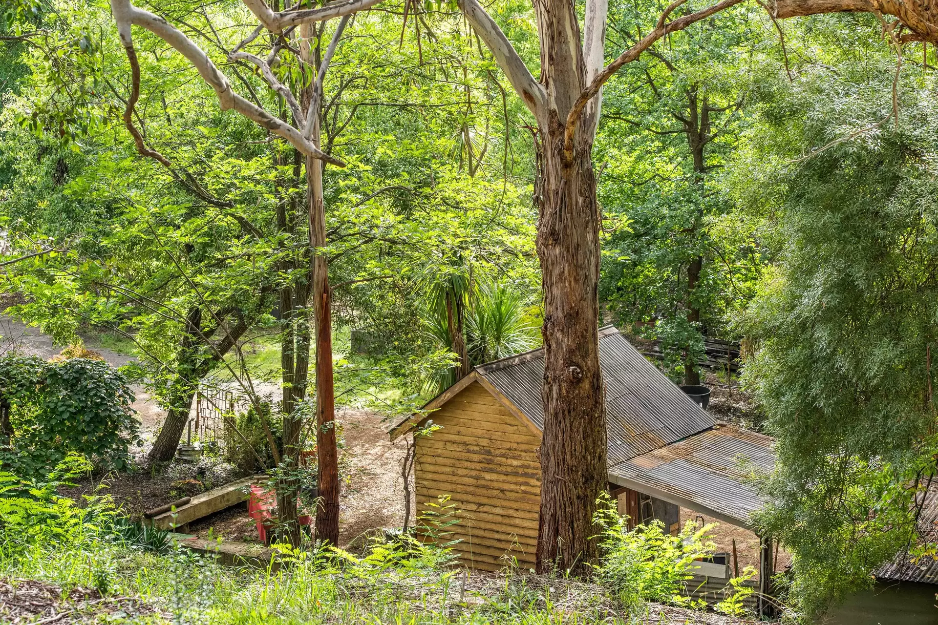 41 Oxleys Hill Road, Bowral For Sale by Drew Lindsay Sotheby's International Realty - image 10