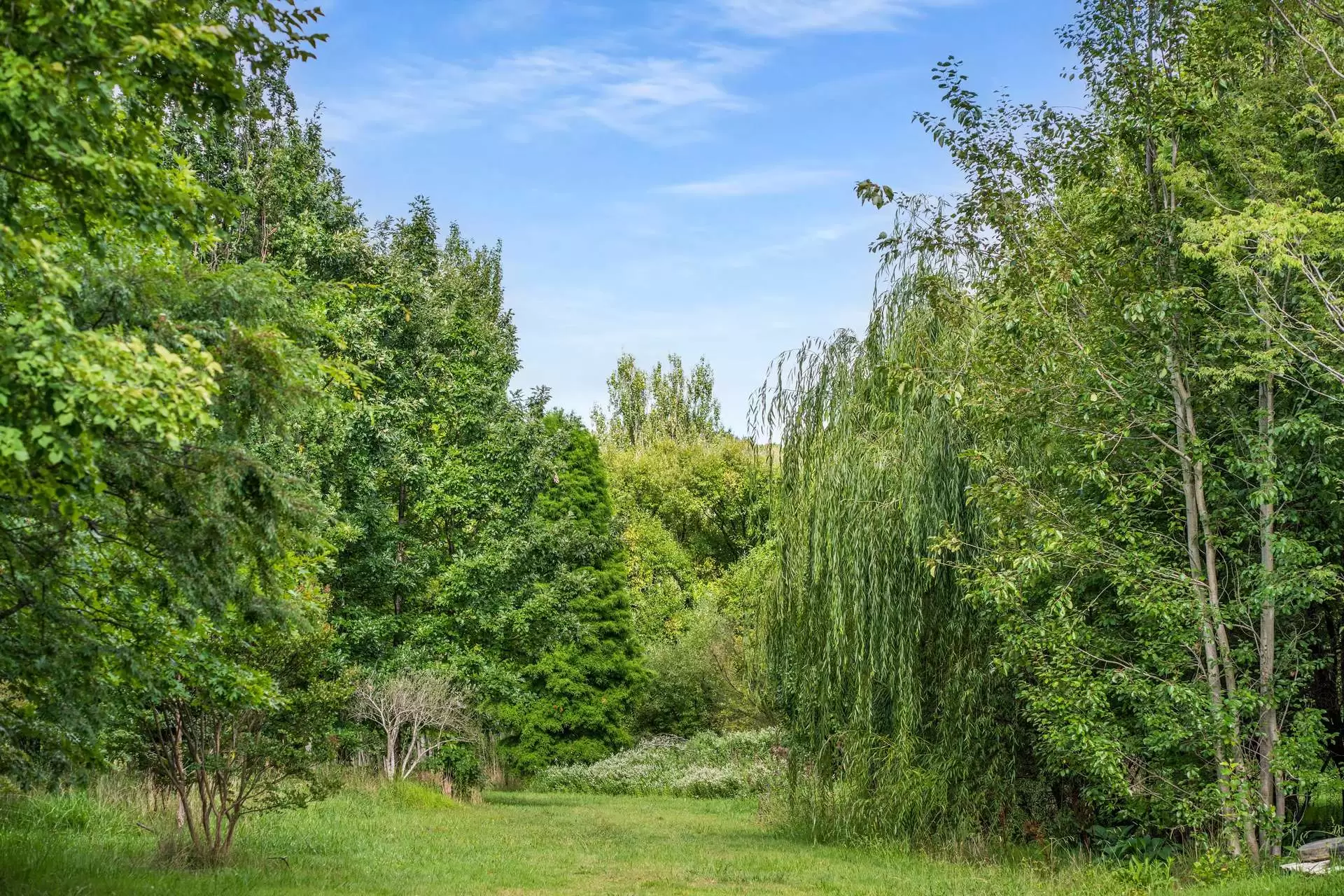 41 Oxleys Hill Road, Bowral For Sale by Drew Lindsay Sotheby's International Realty - image 15